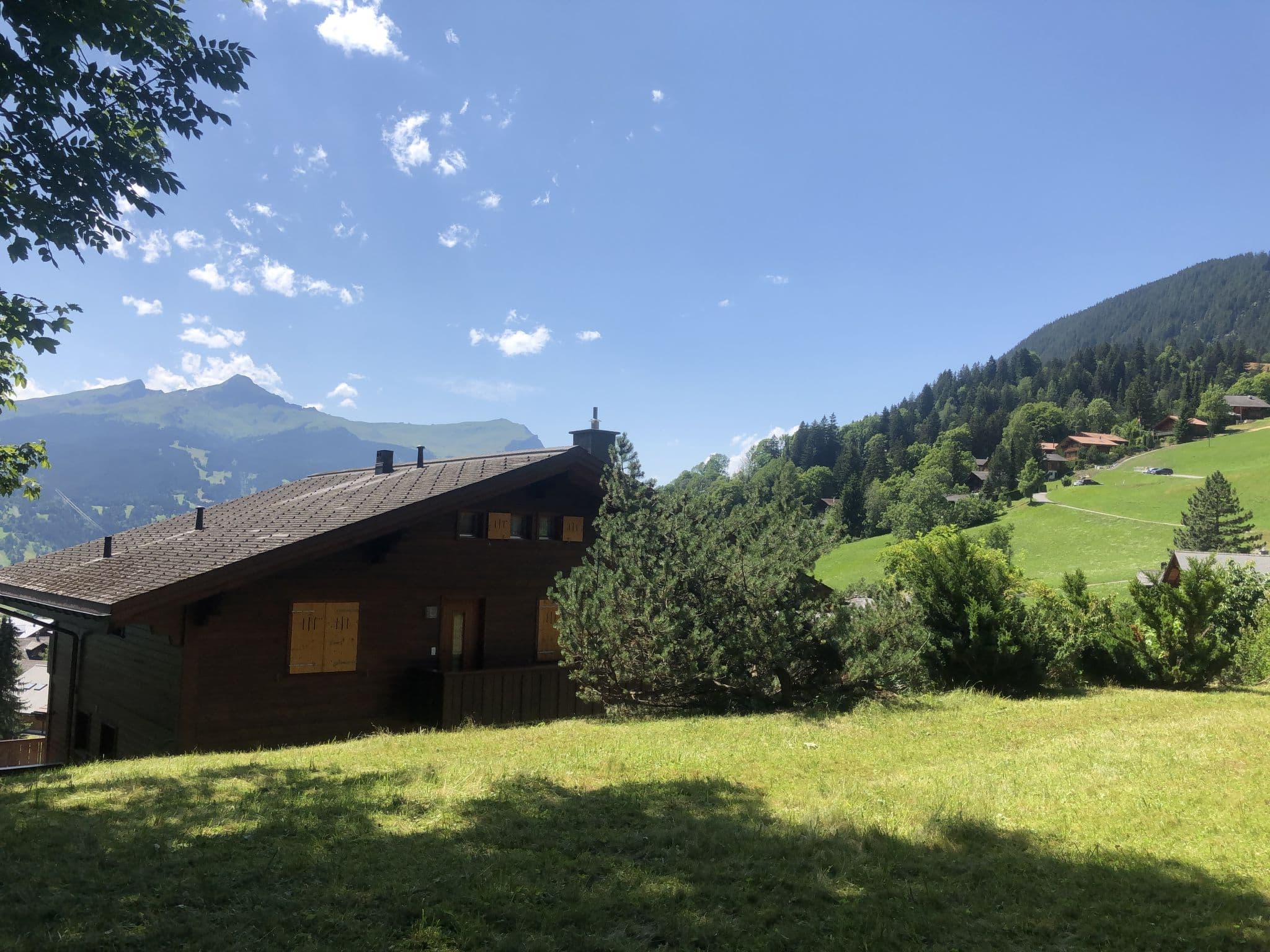View