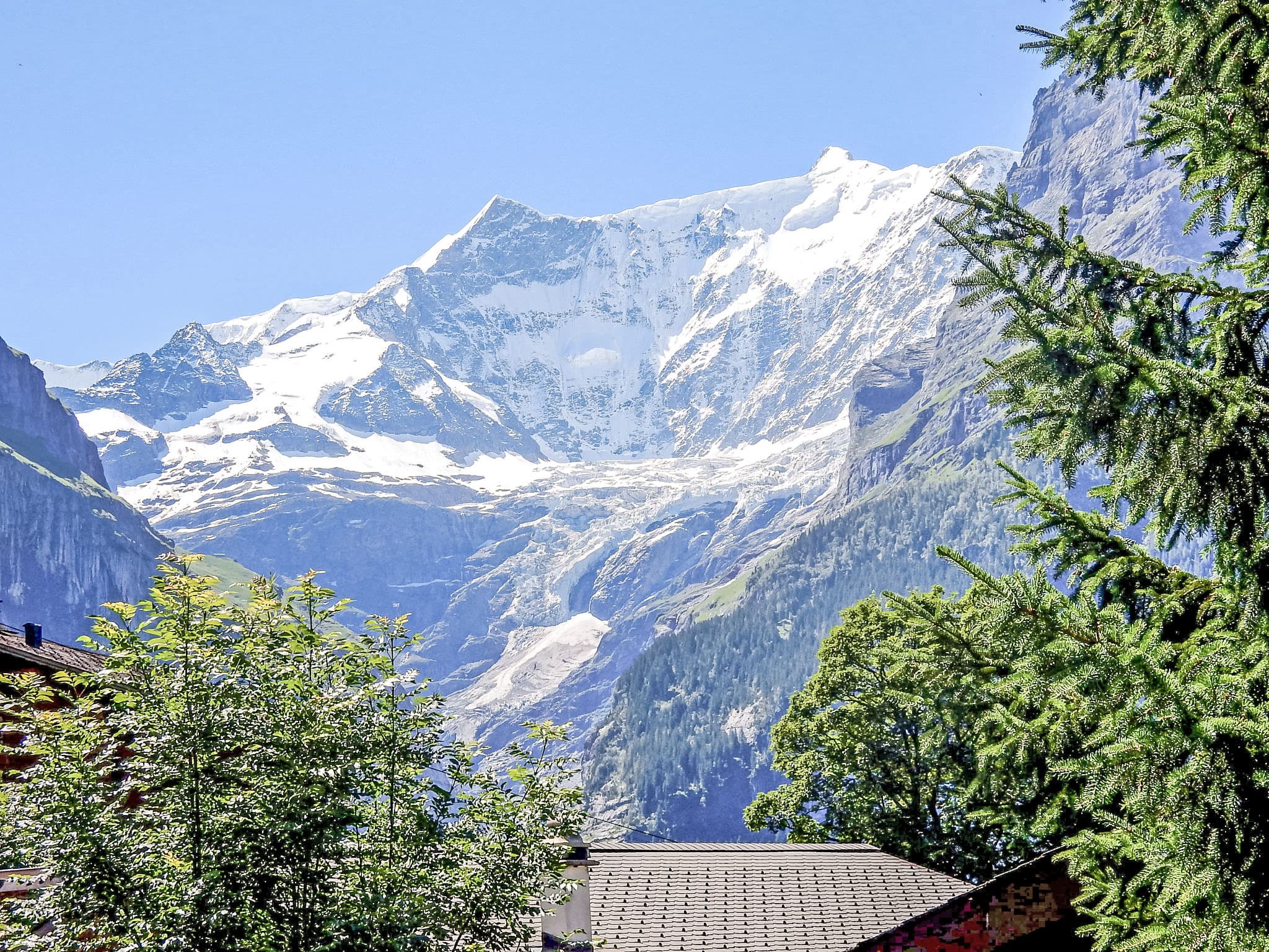 View