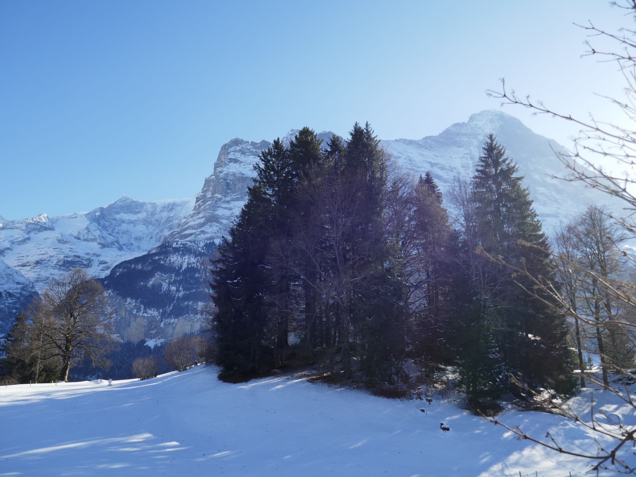 View