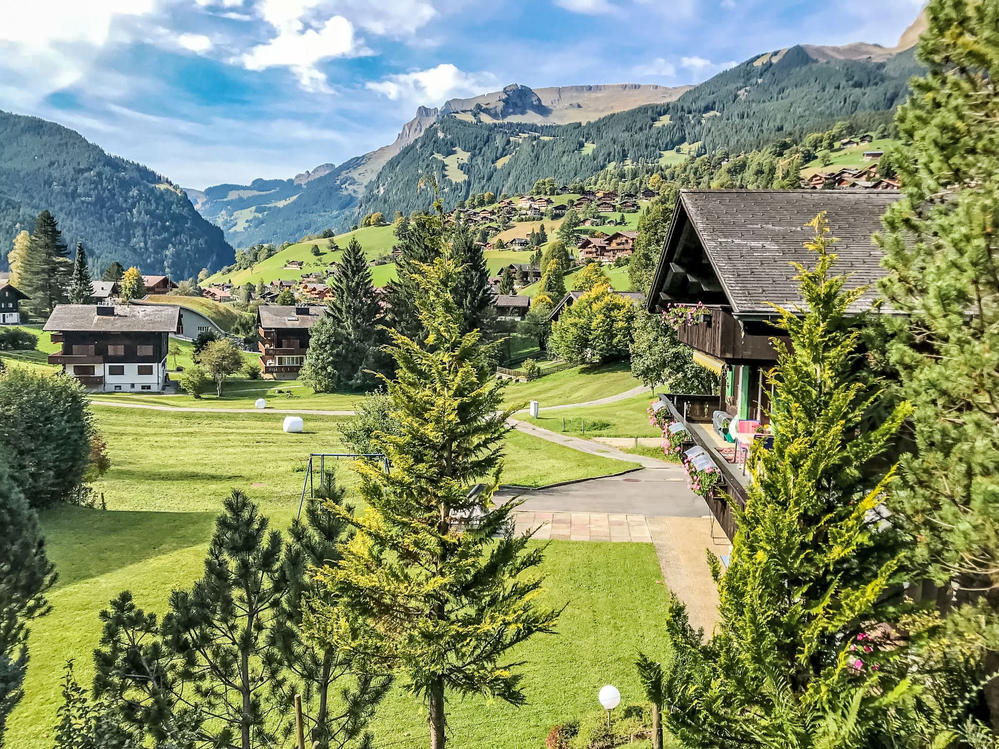 View
