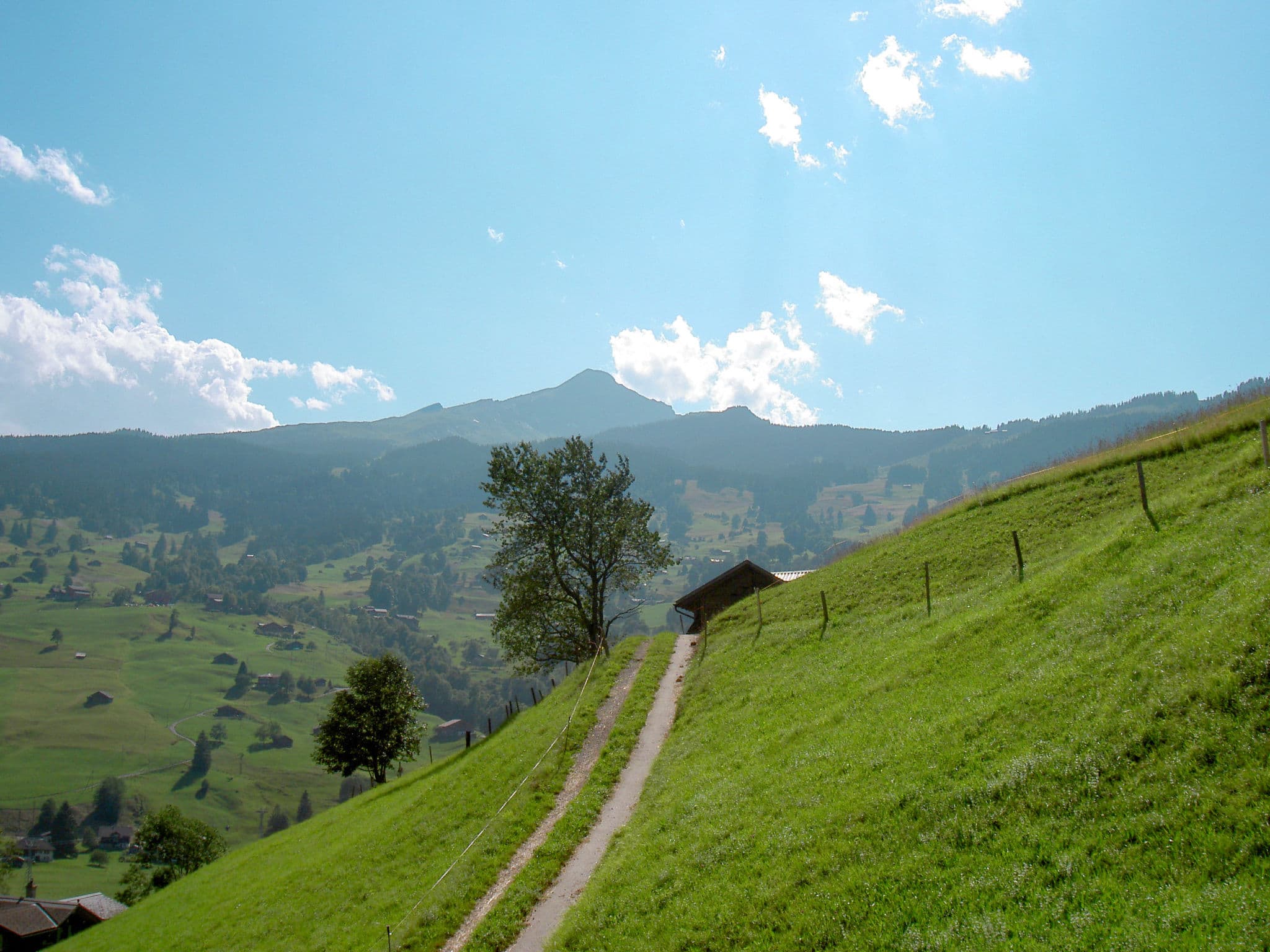 View