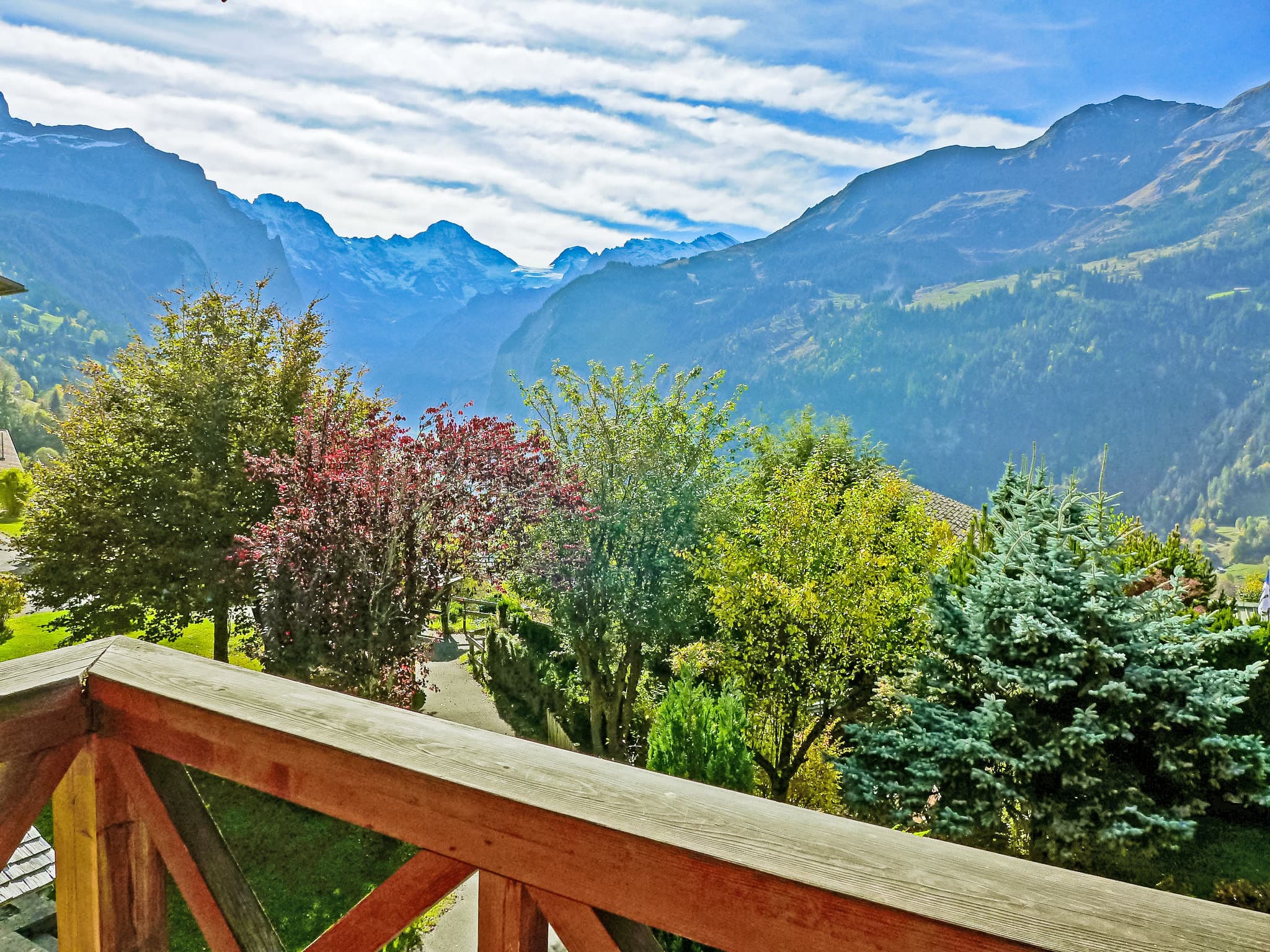 View