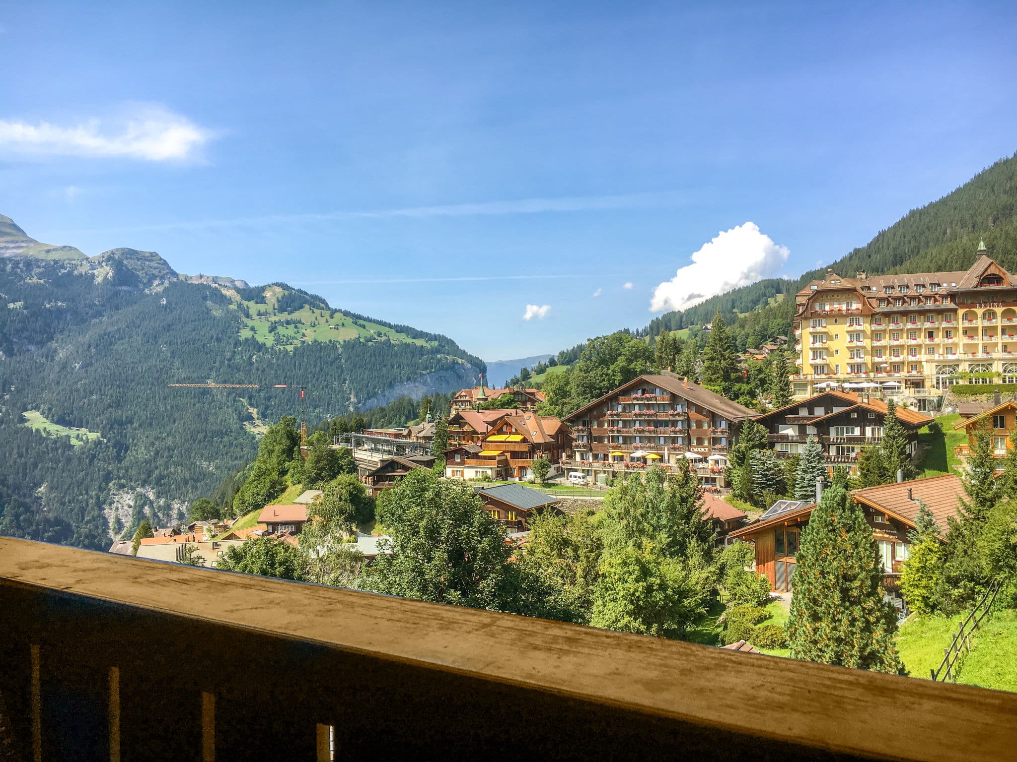 View