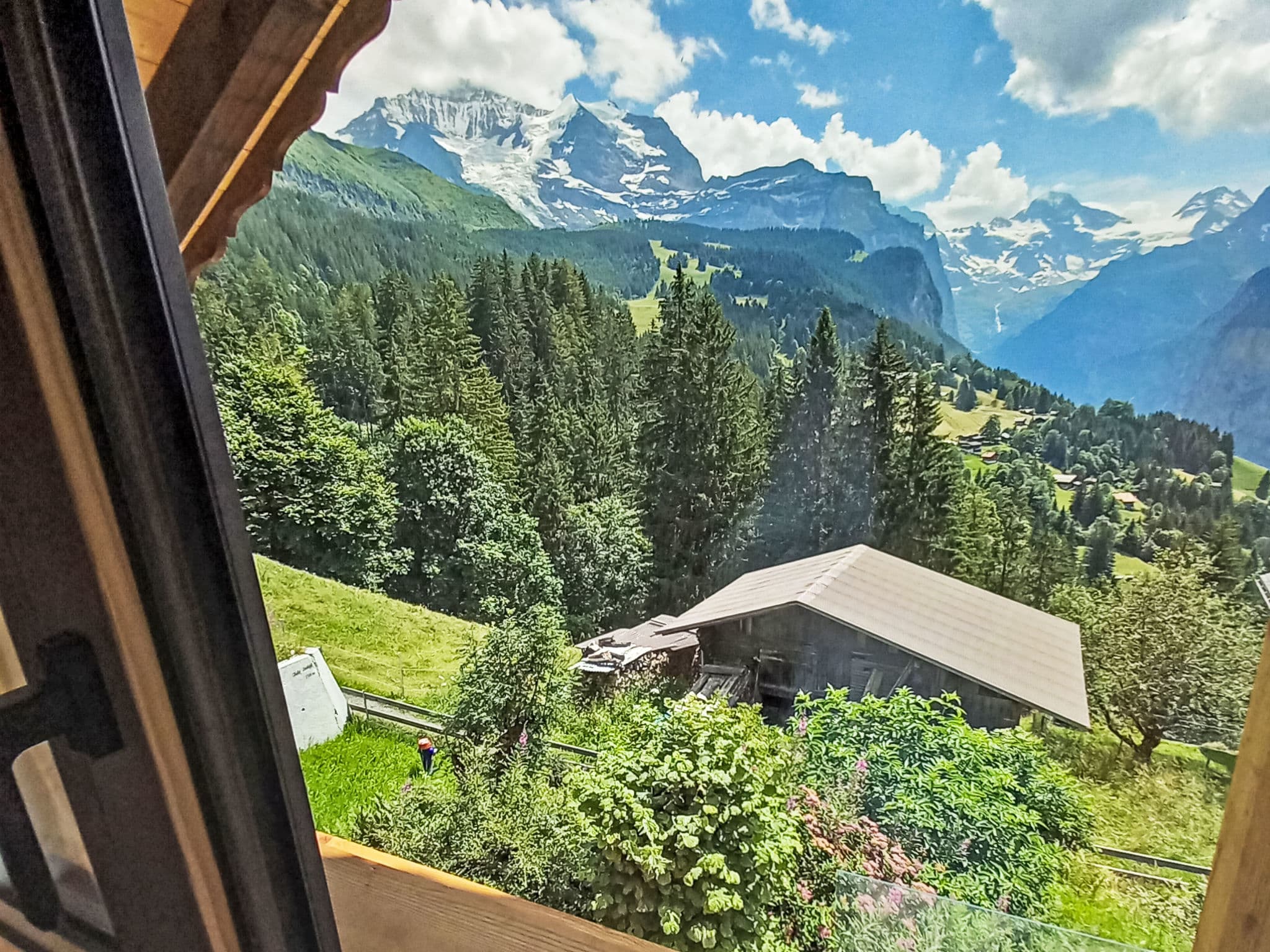 View