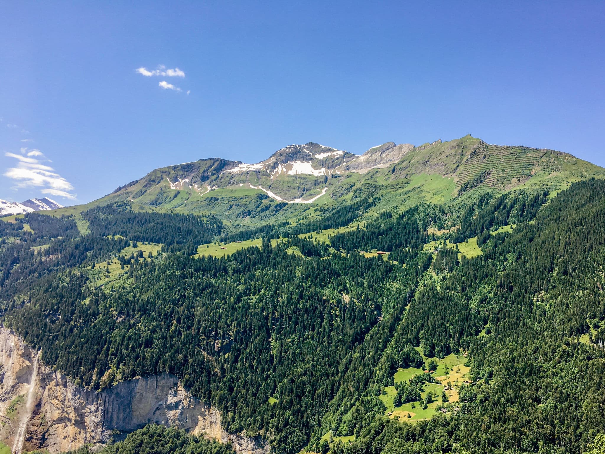 View