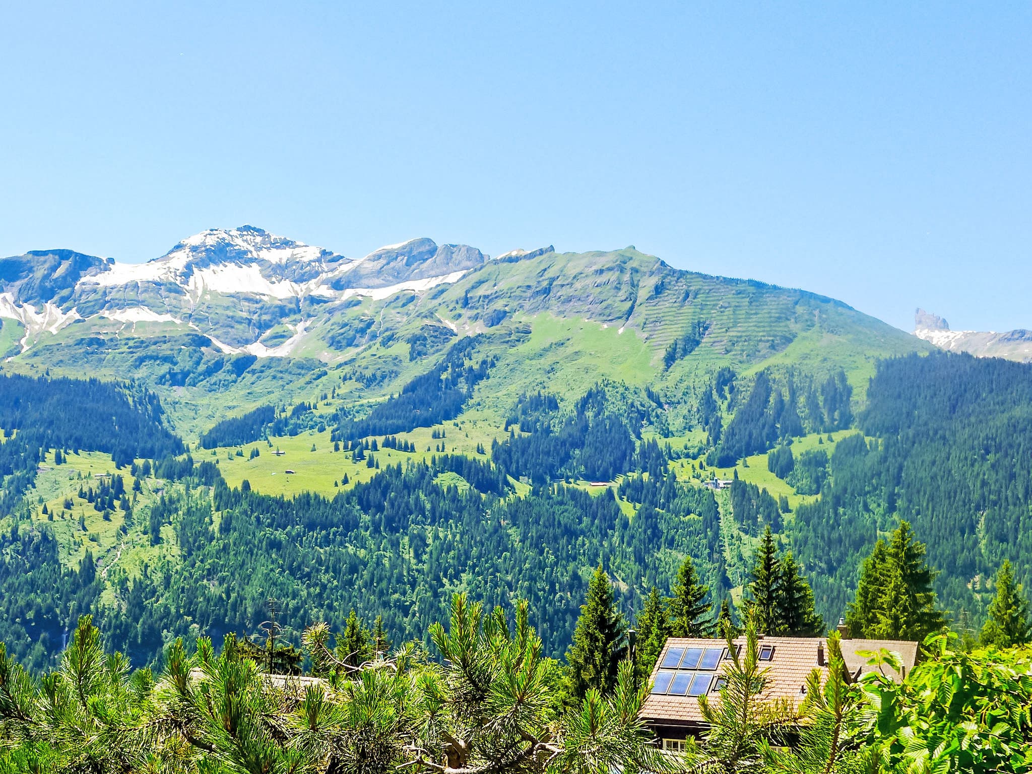 View