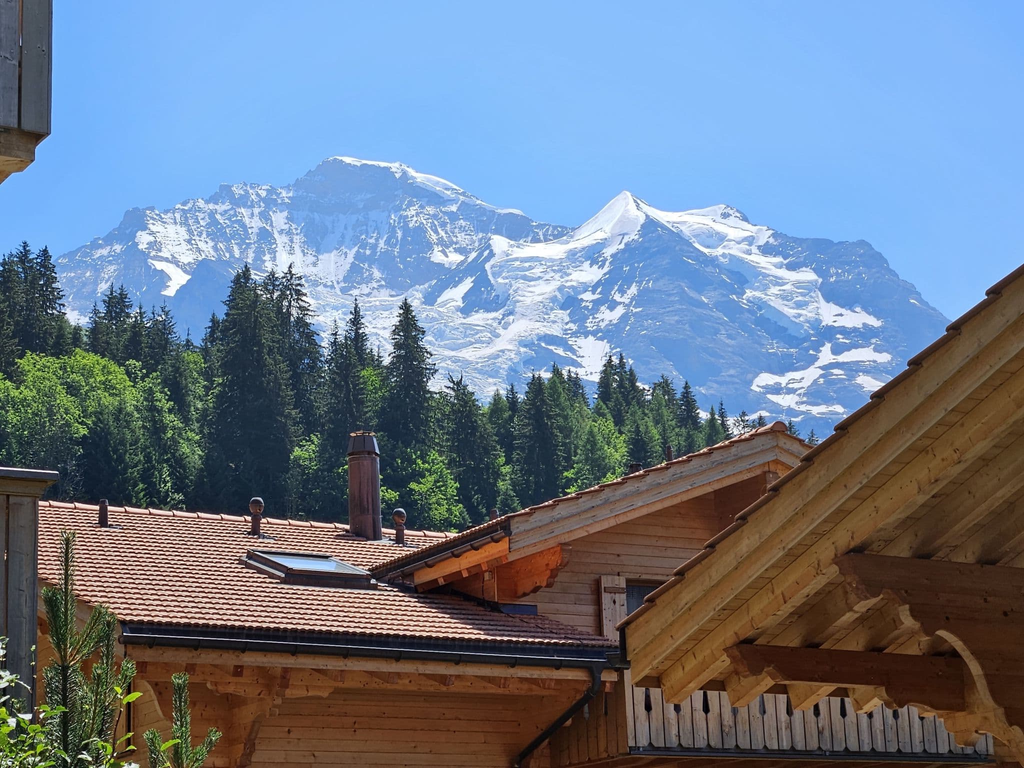 View
