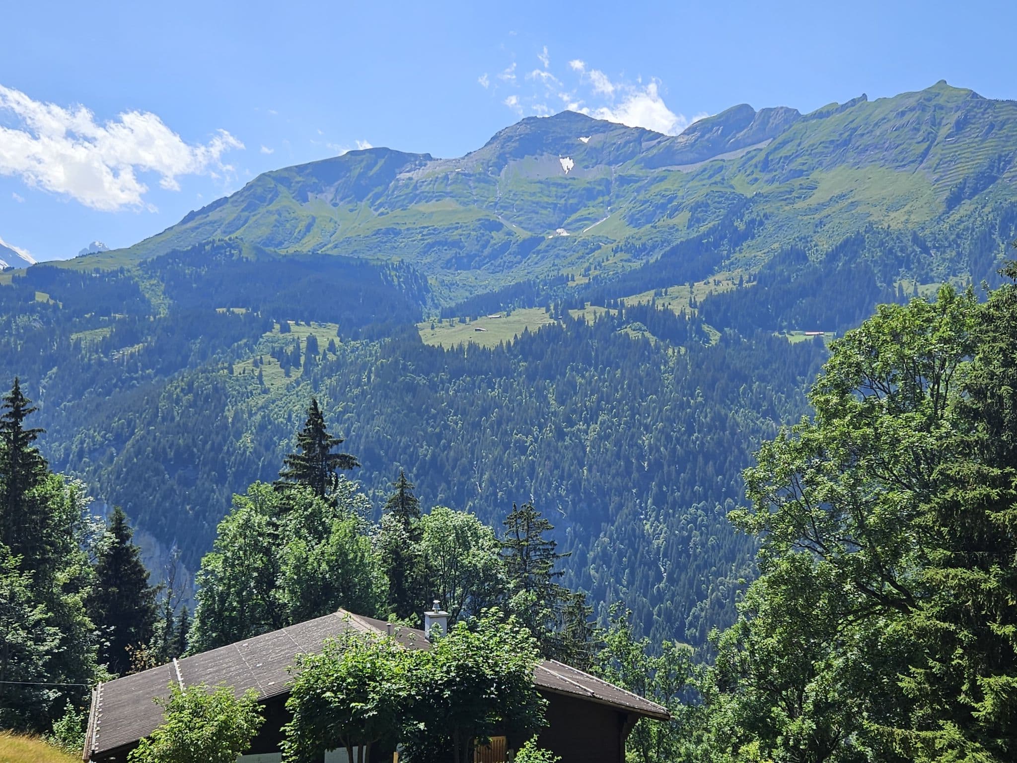 View