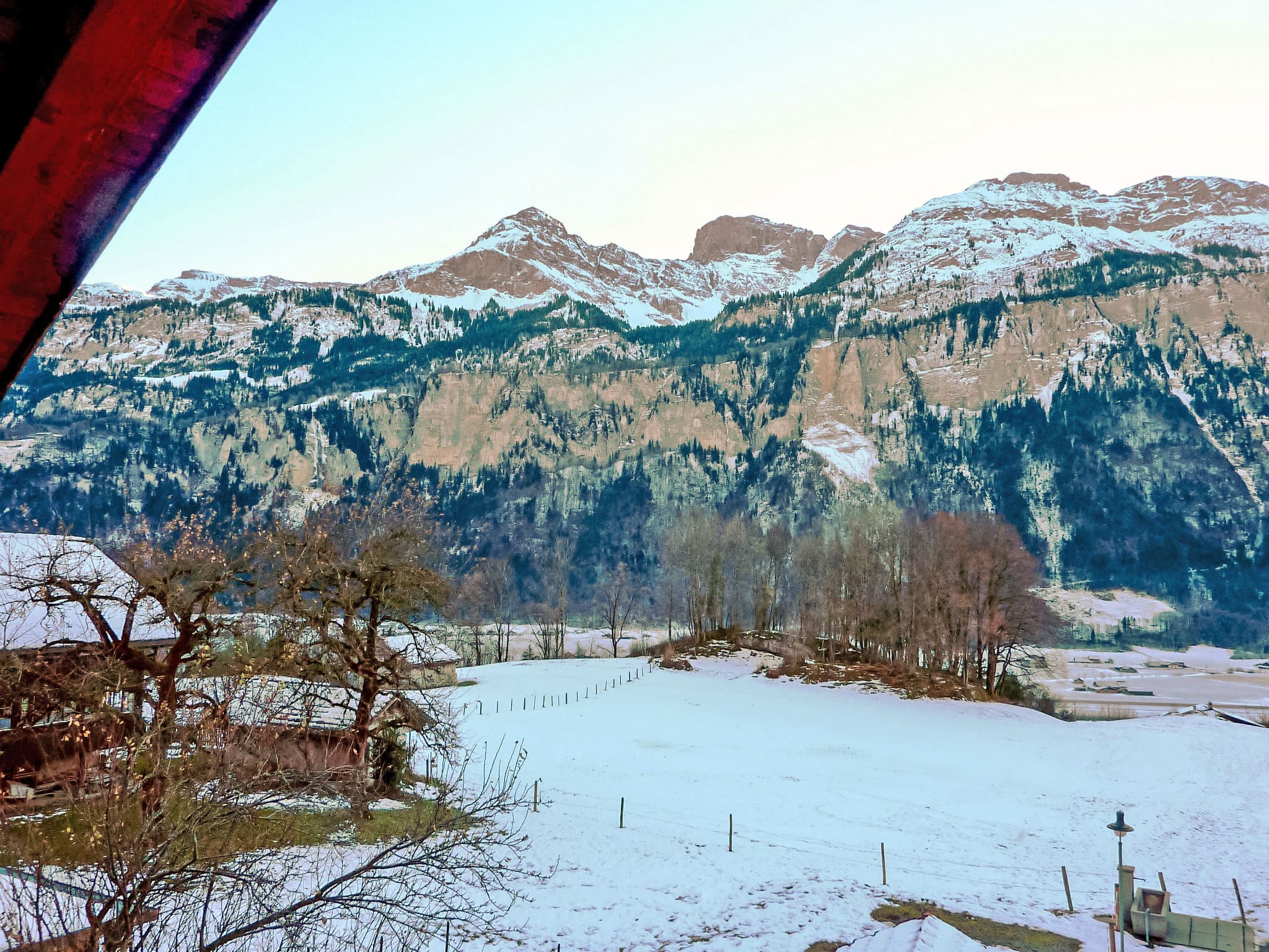 View