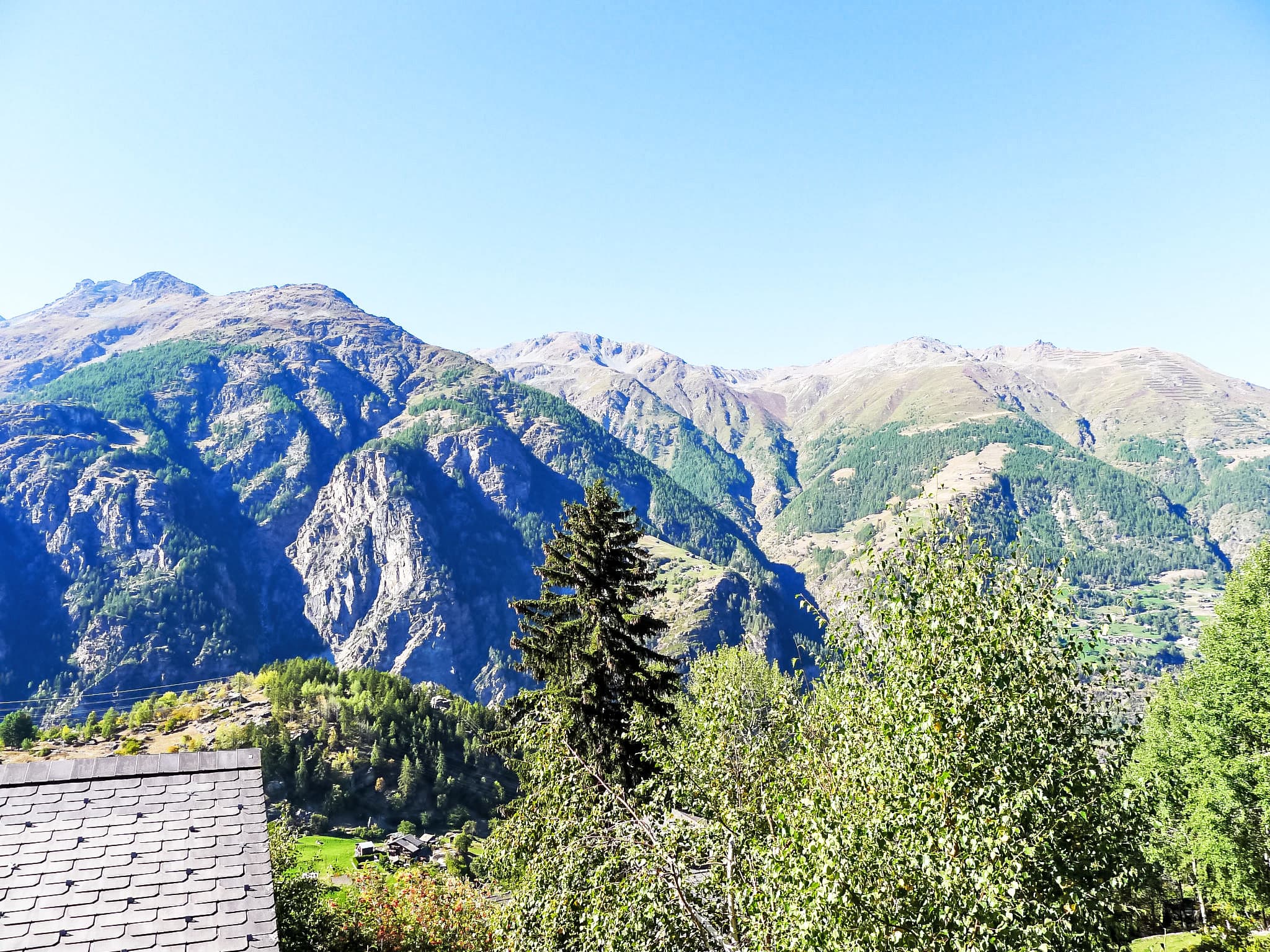 View