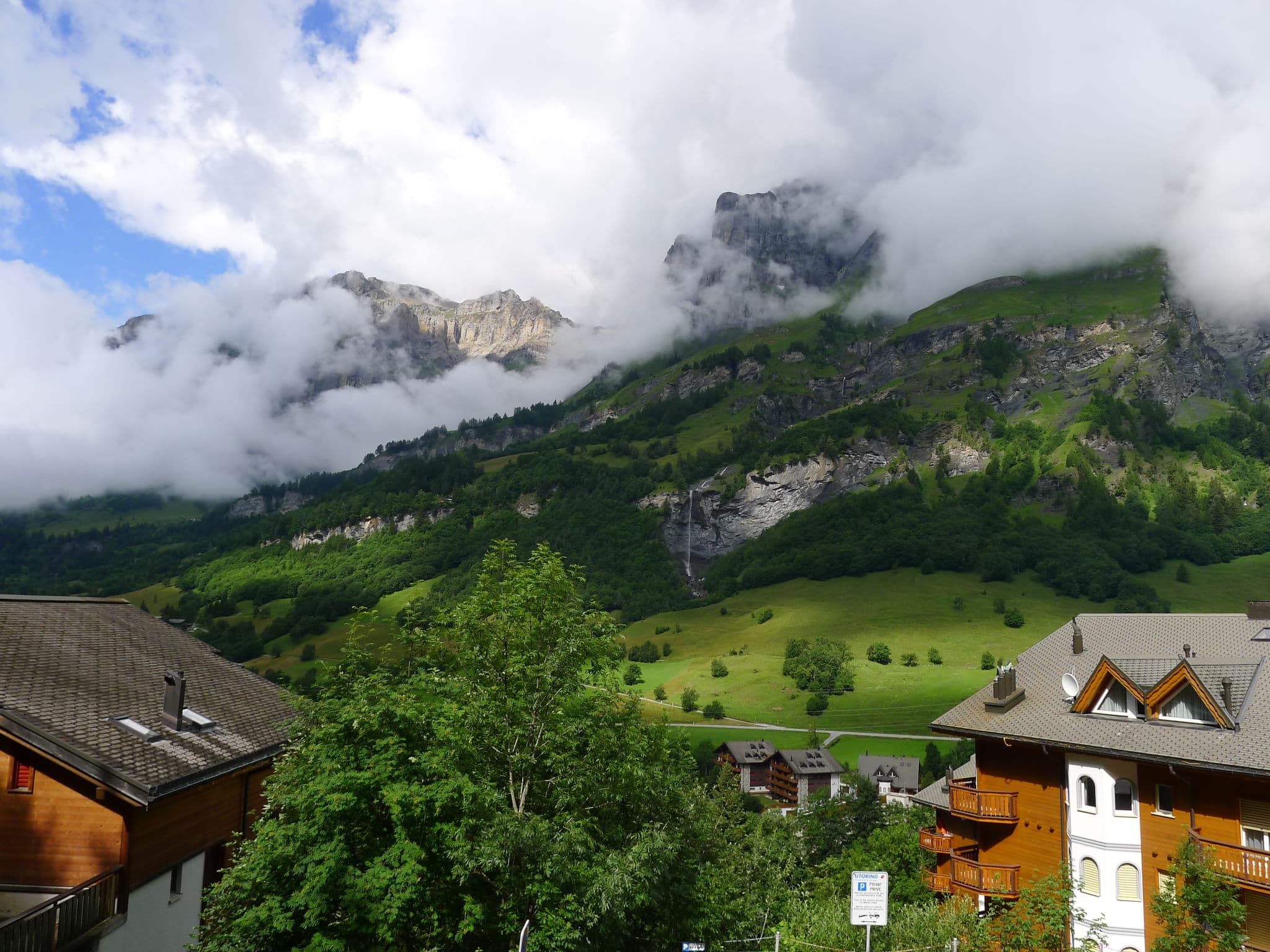 View