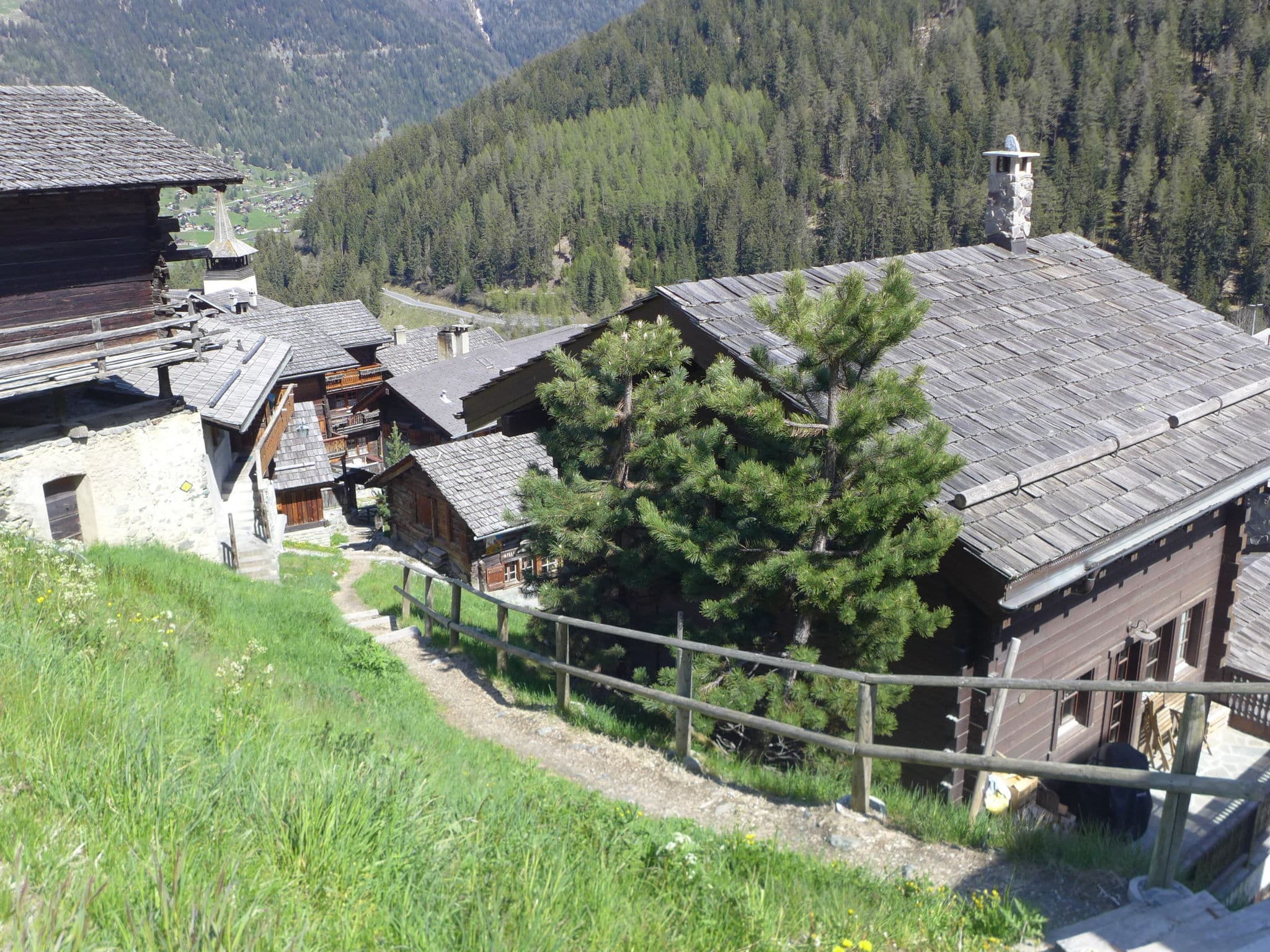 View