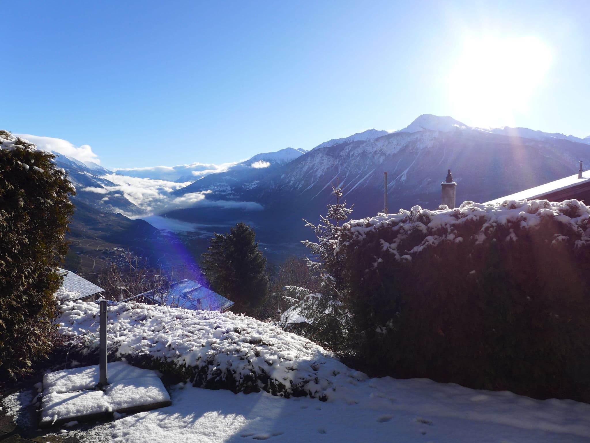 View