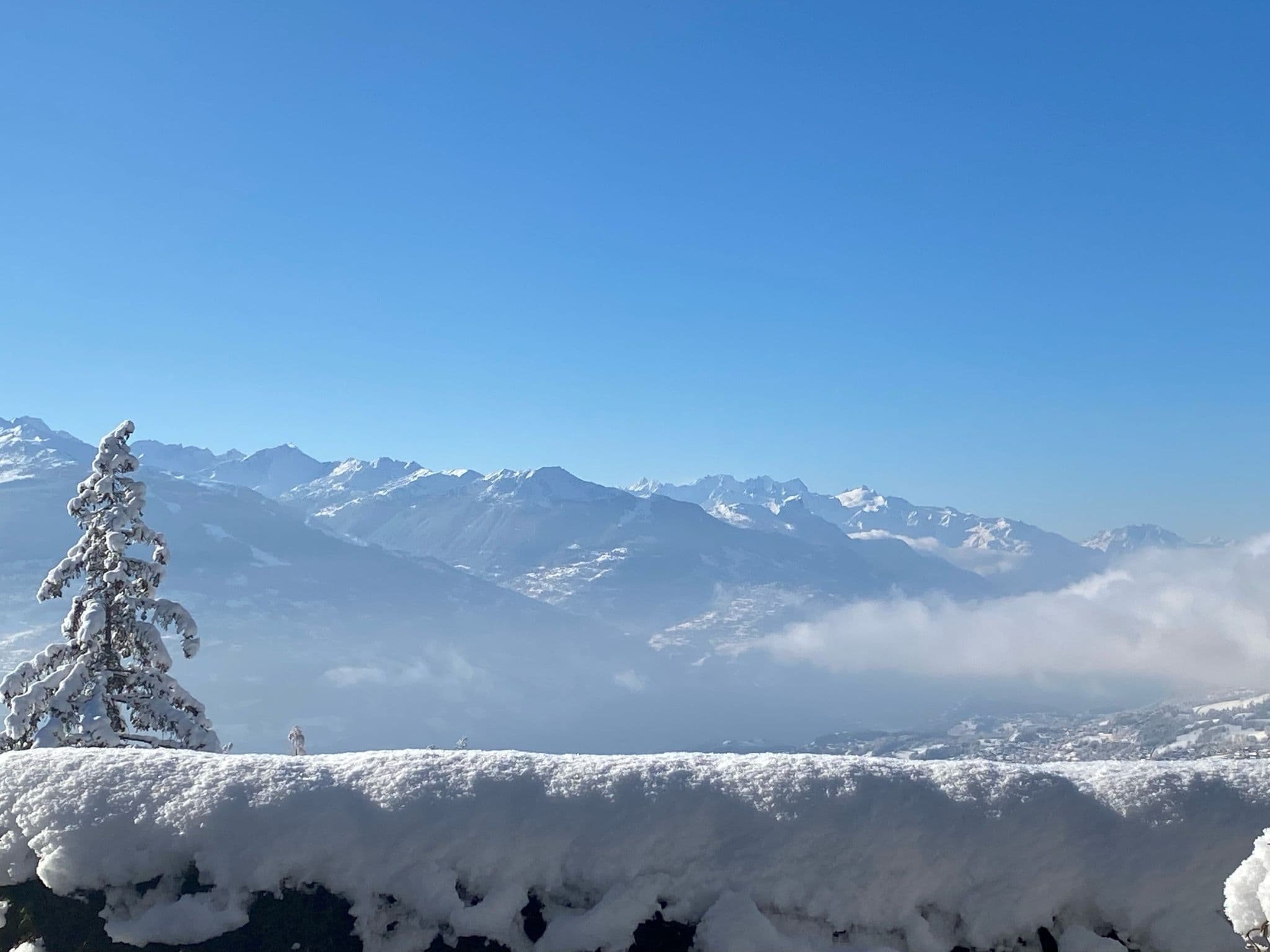 View