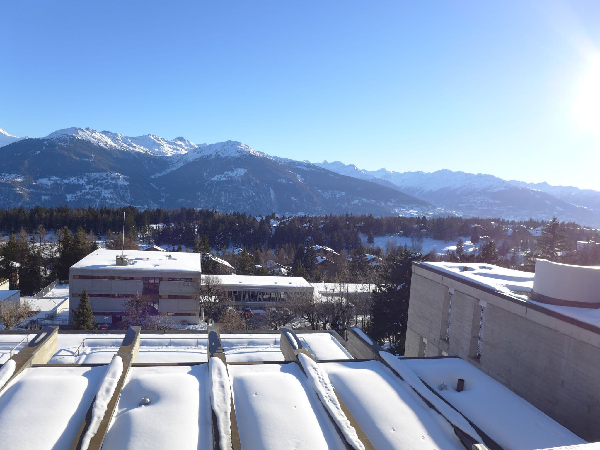 View