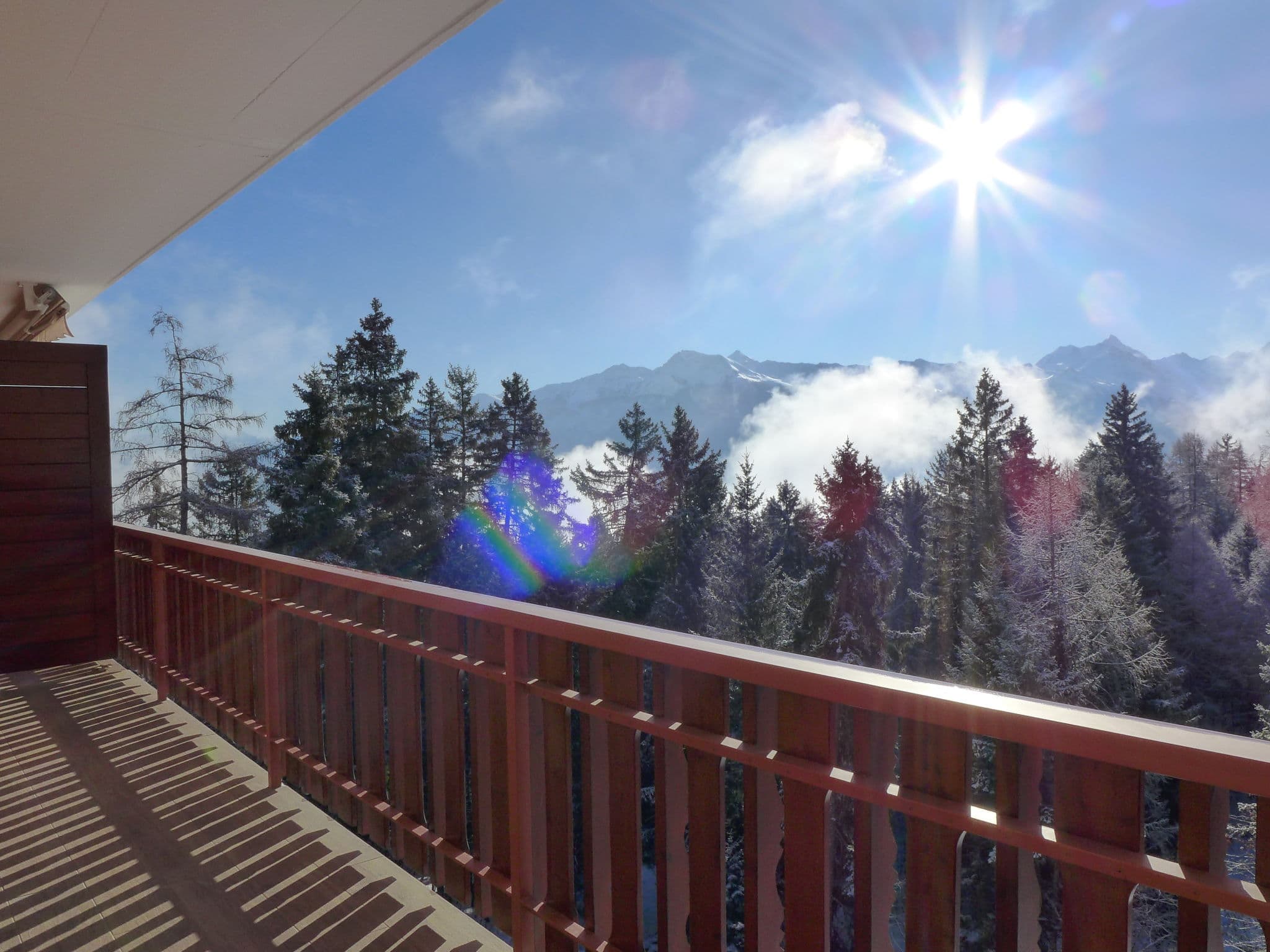 View