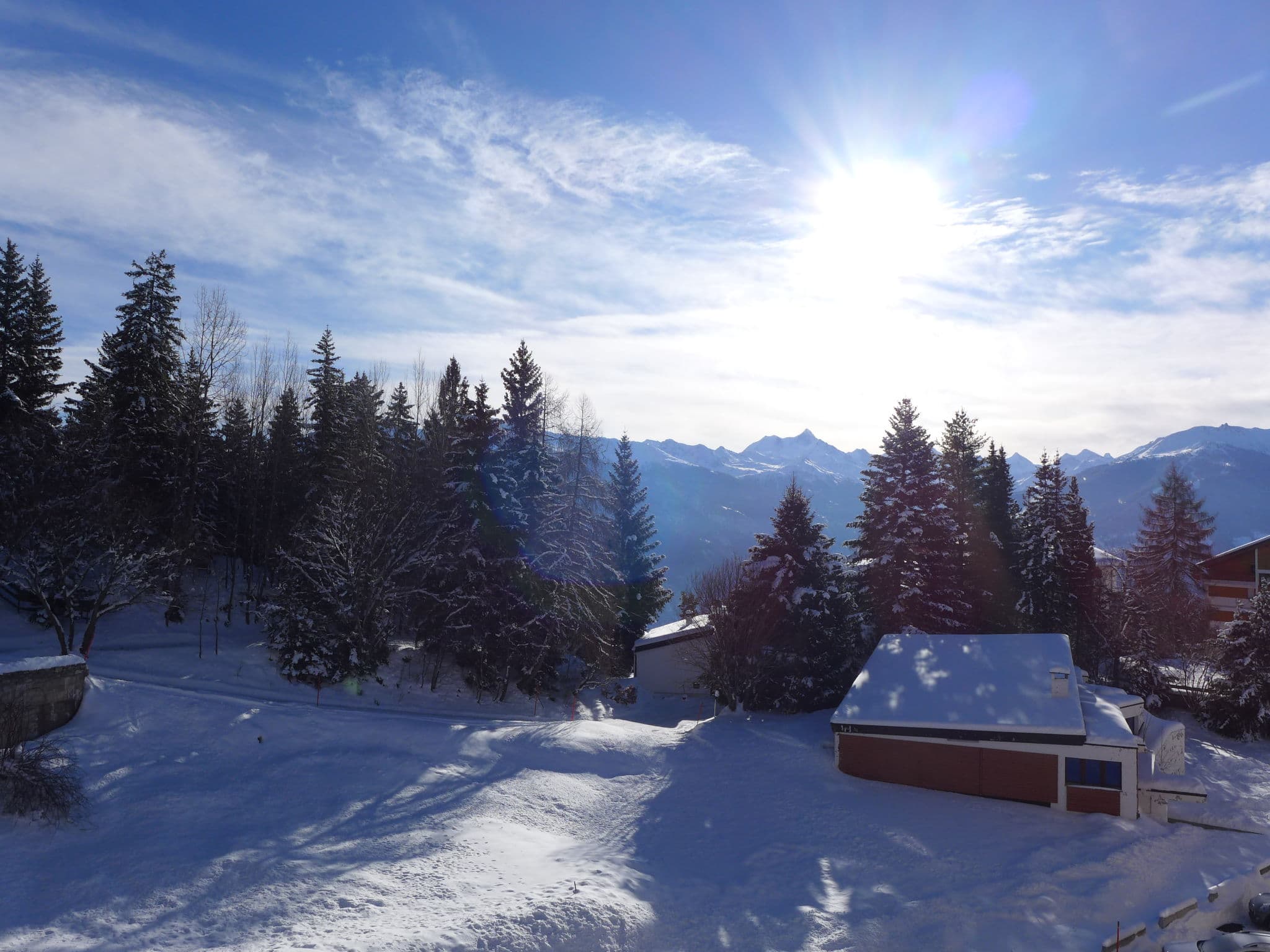 View