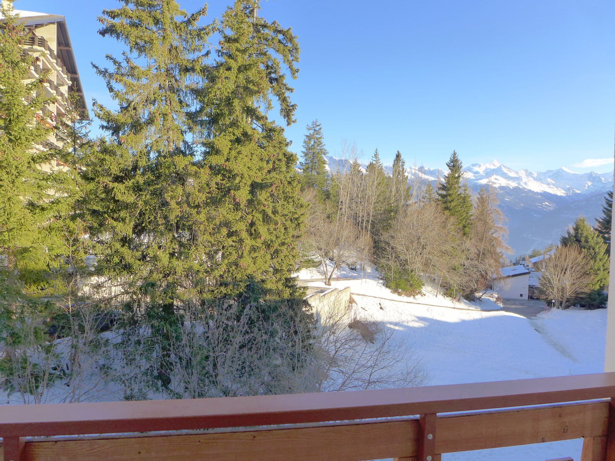 View