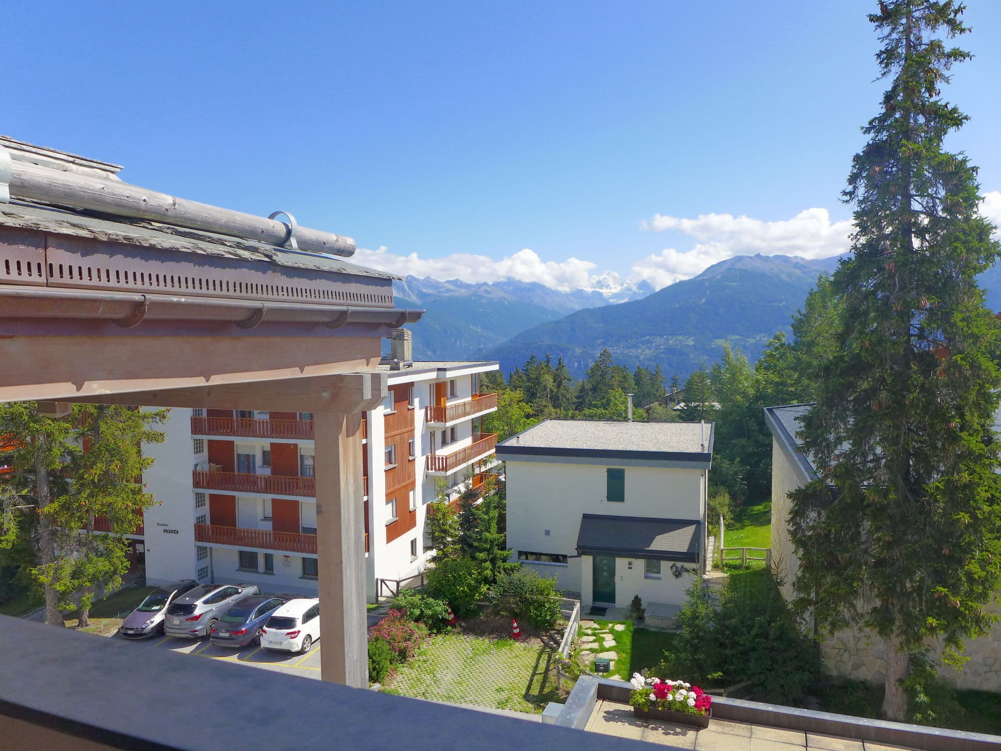 View