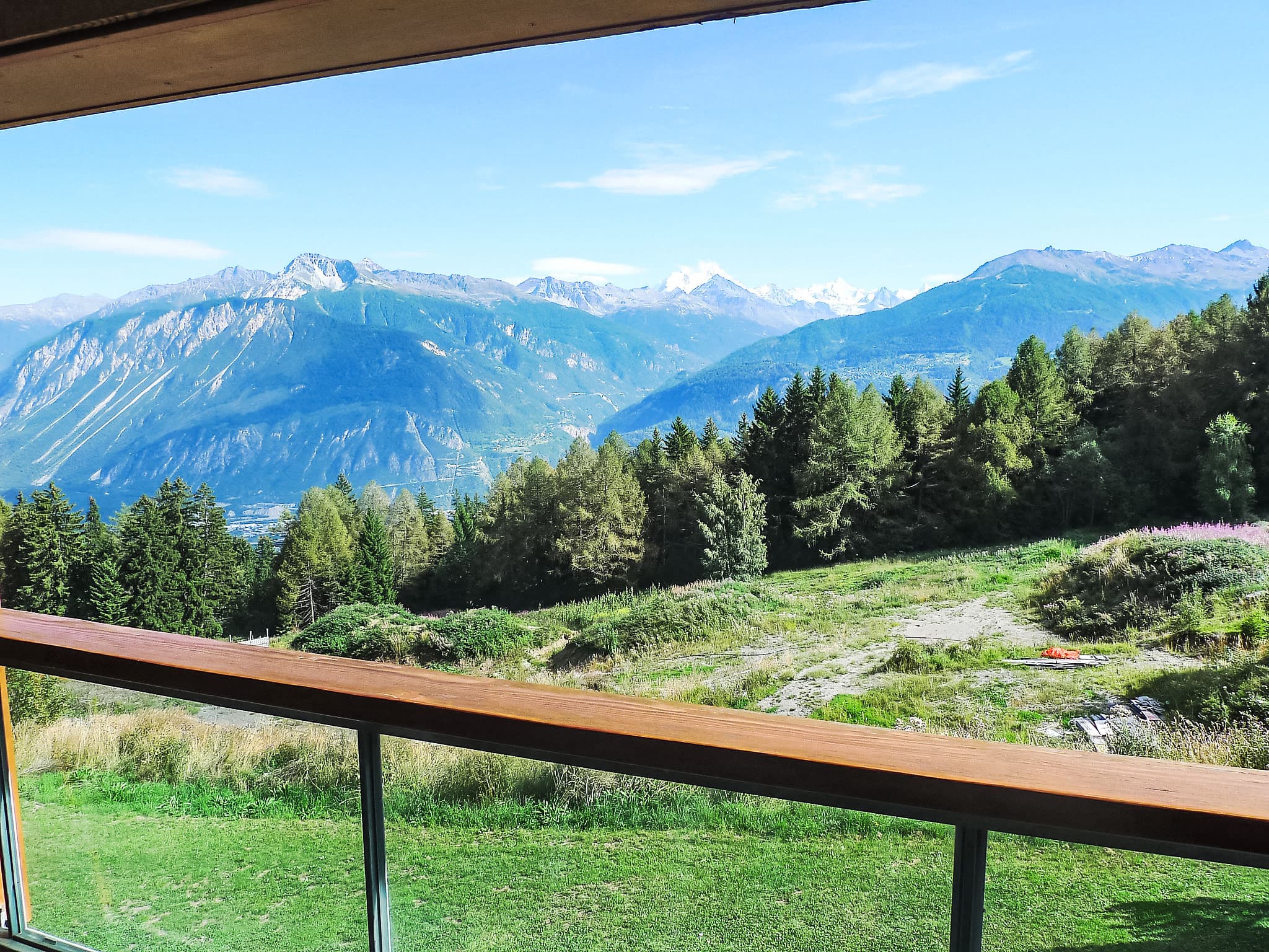 View
