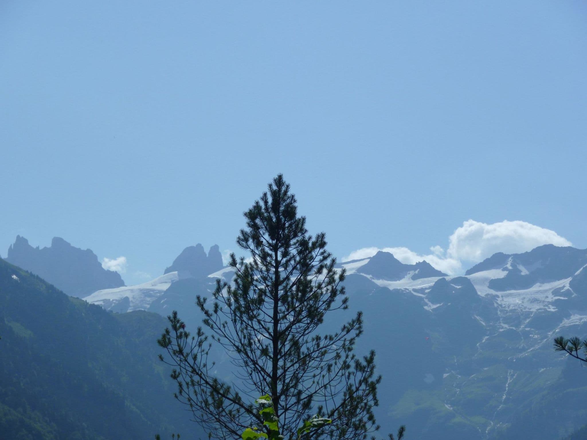View