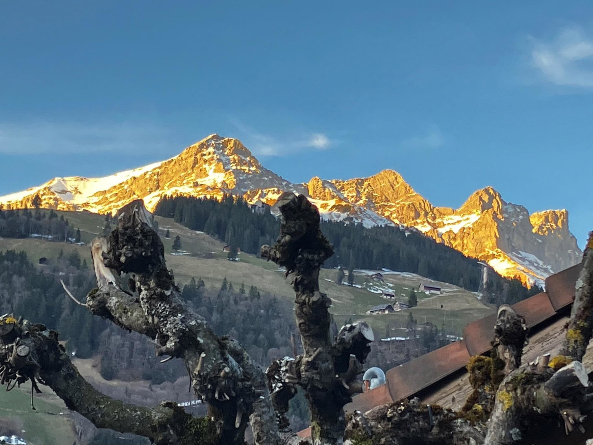 View