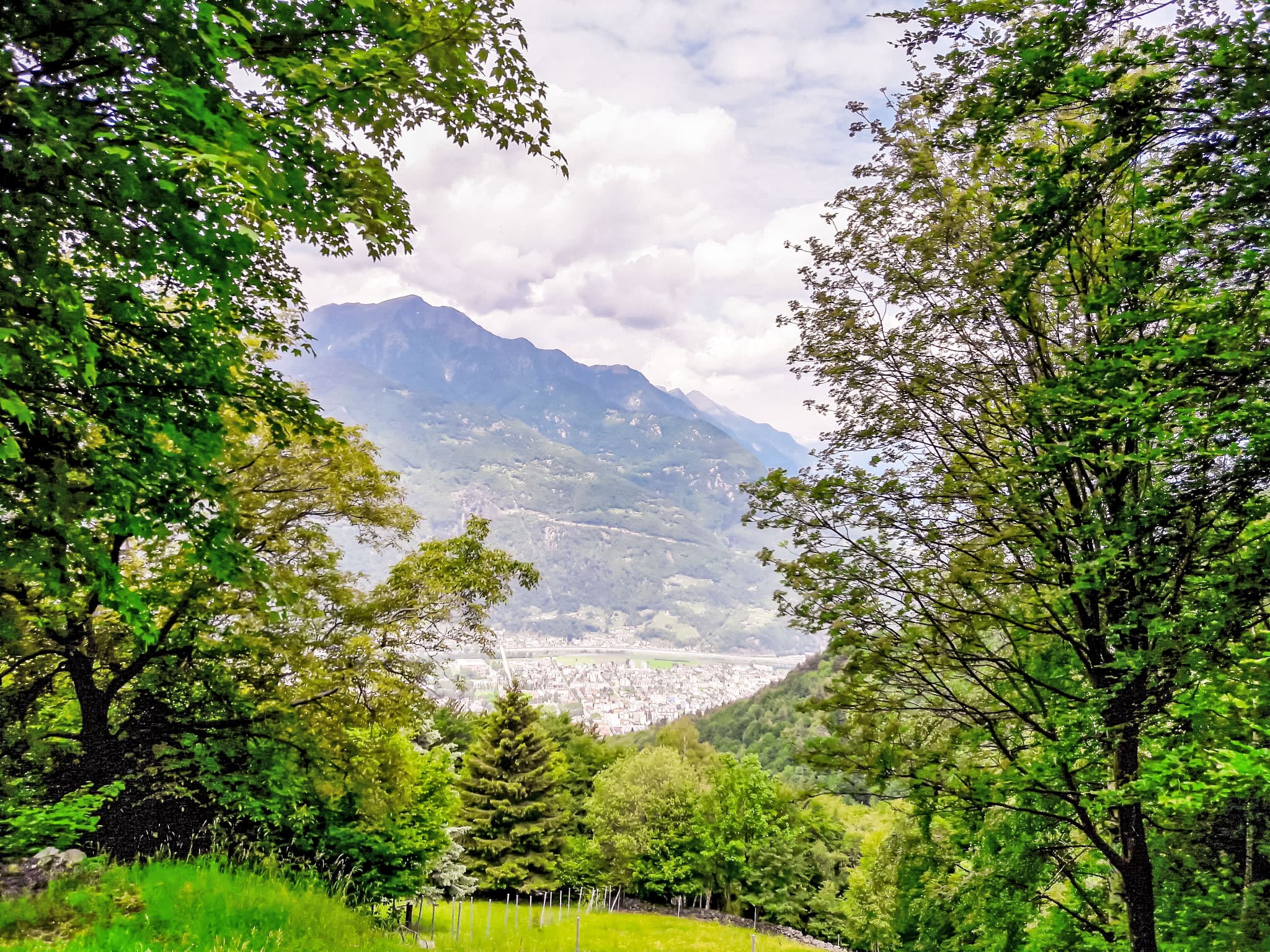 View