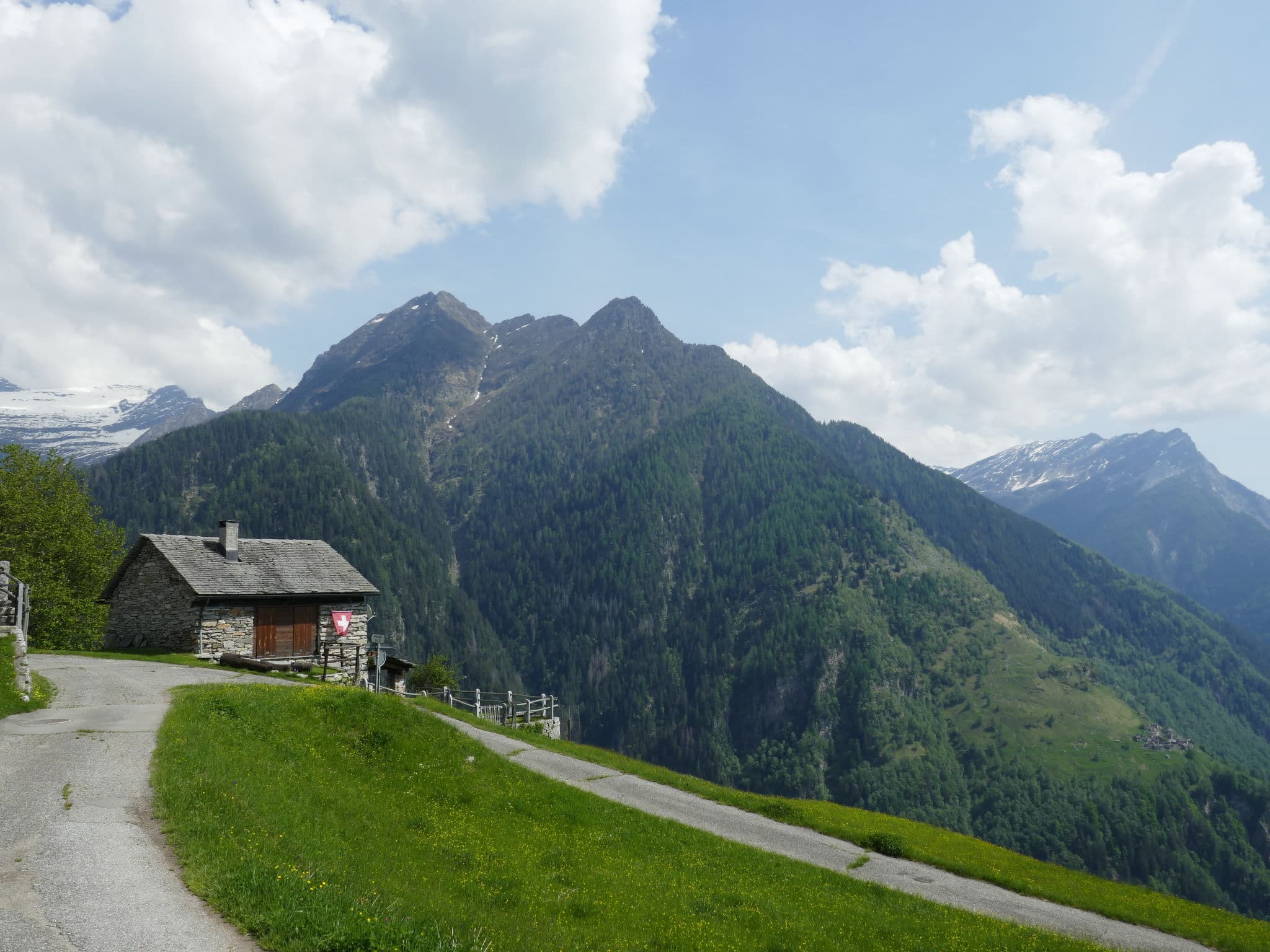 View