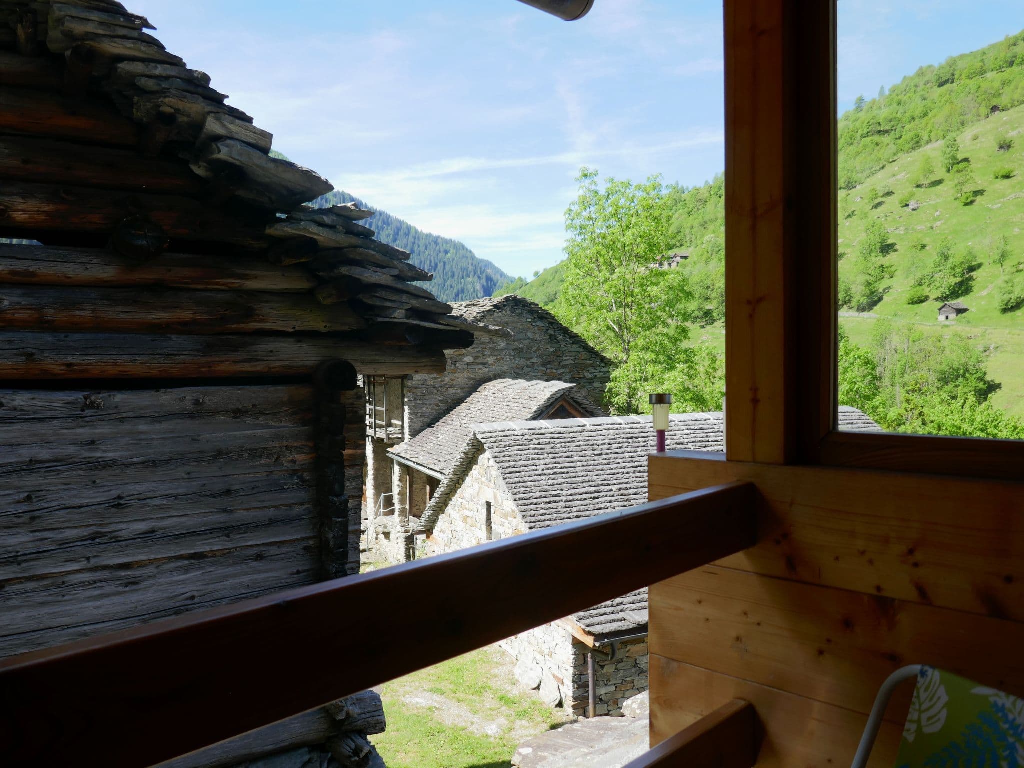 View