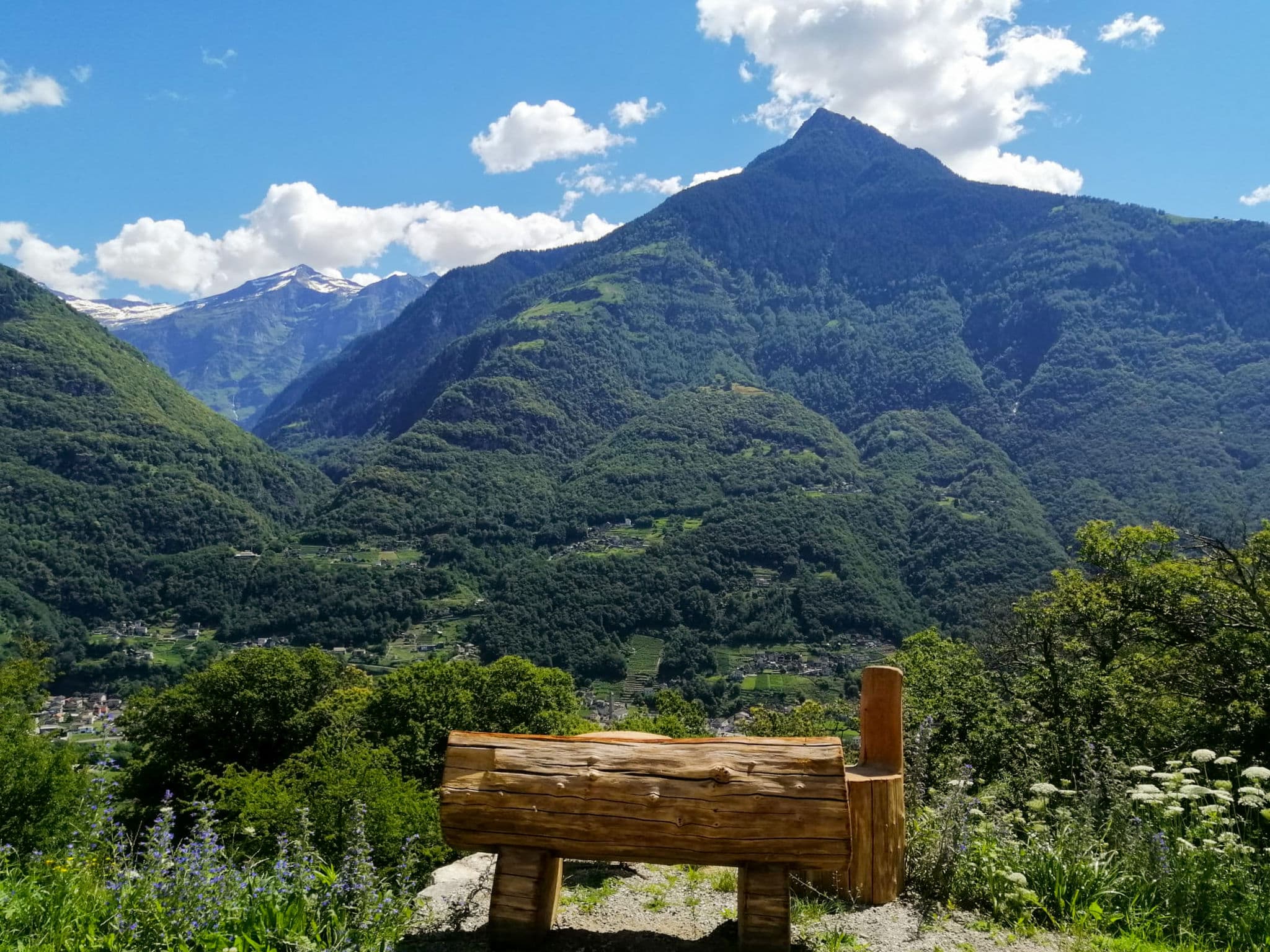 View