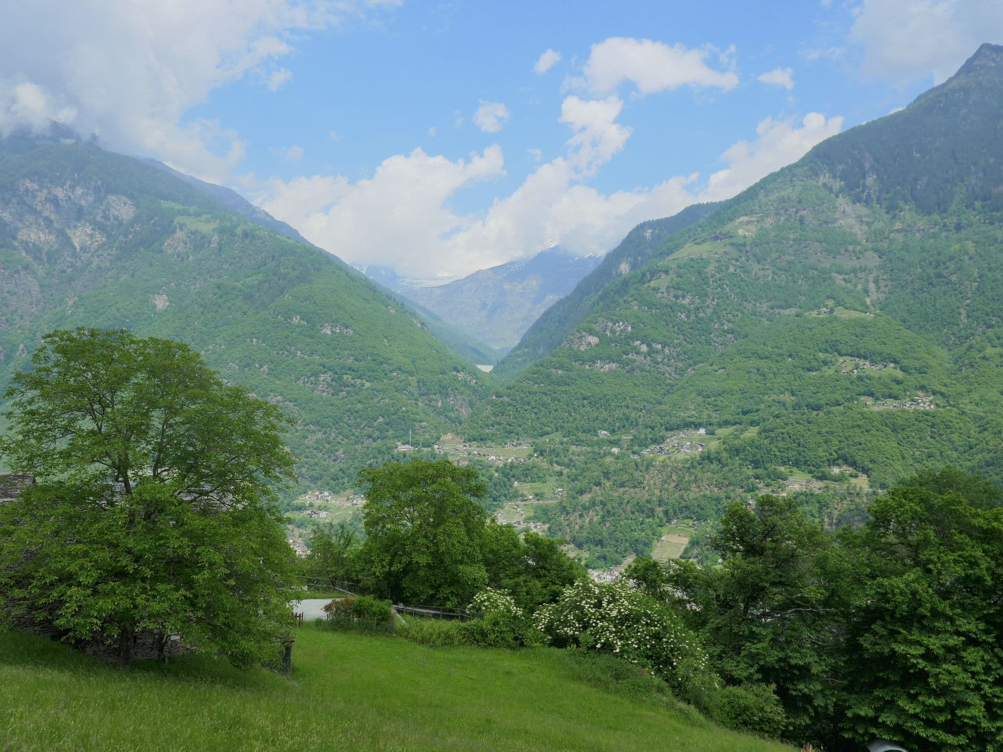 View