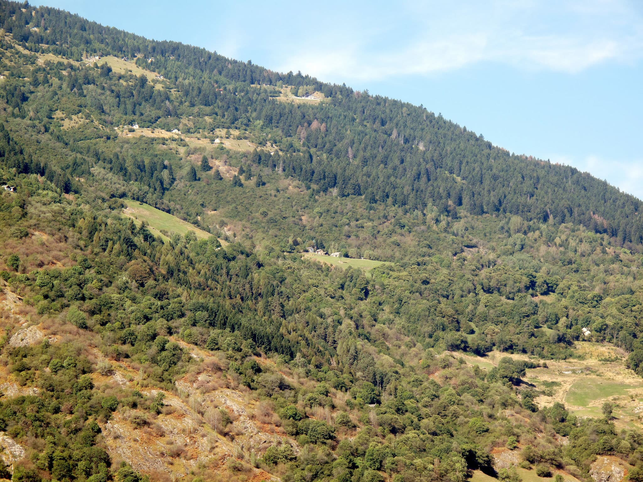 View
