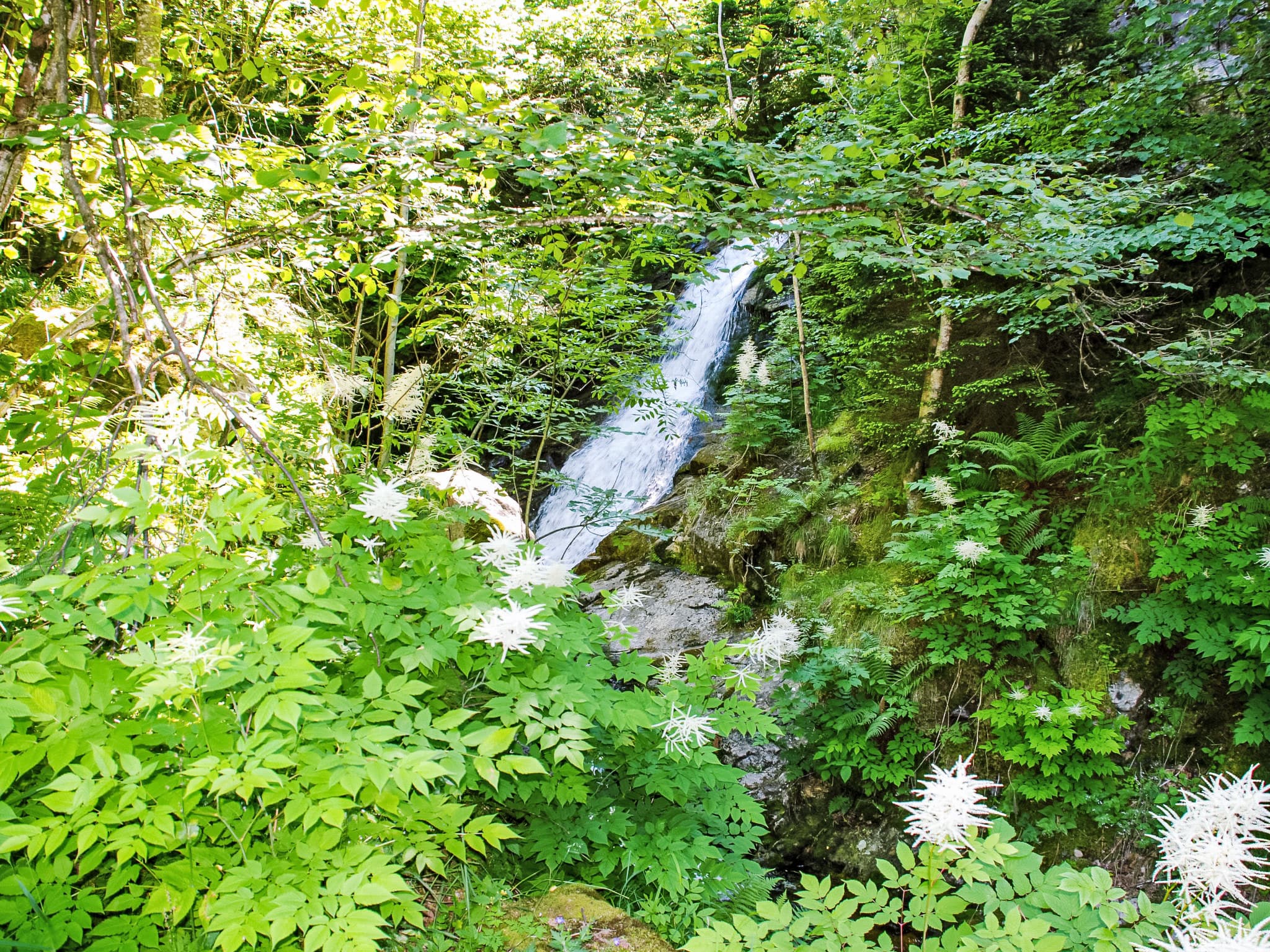 Place