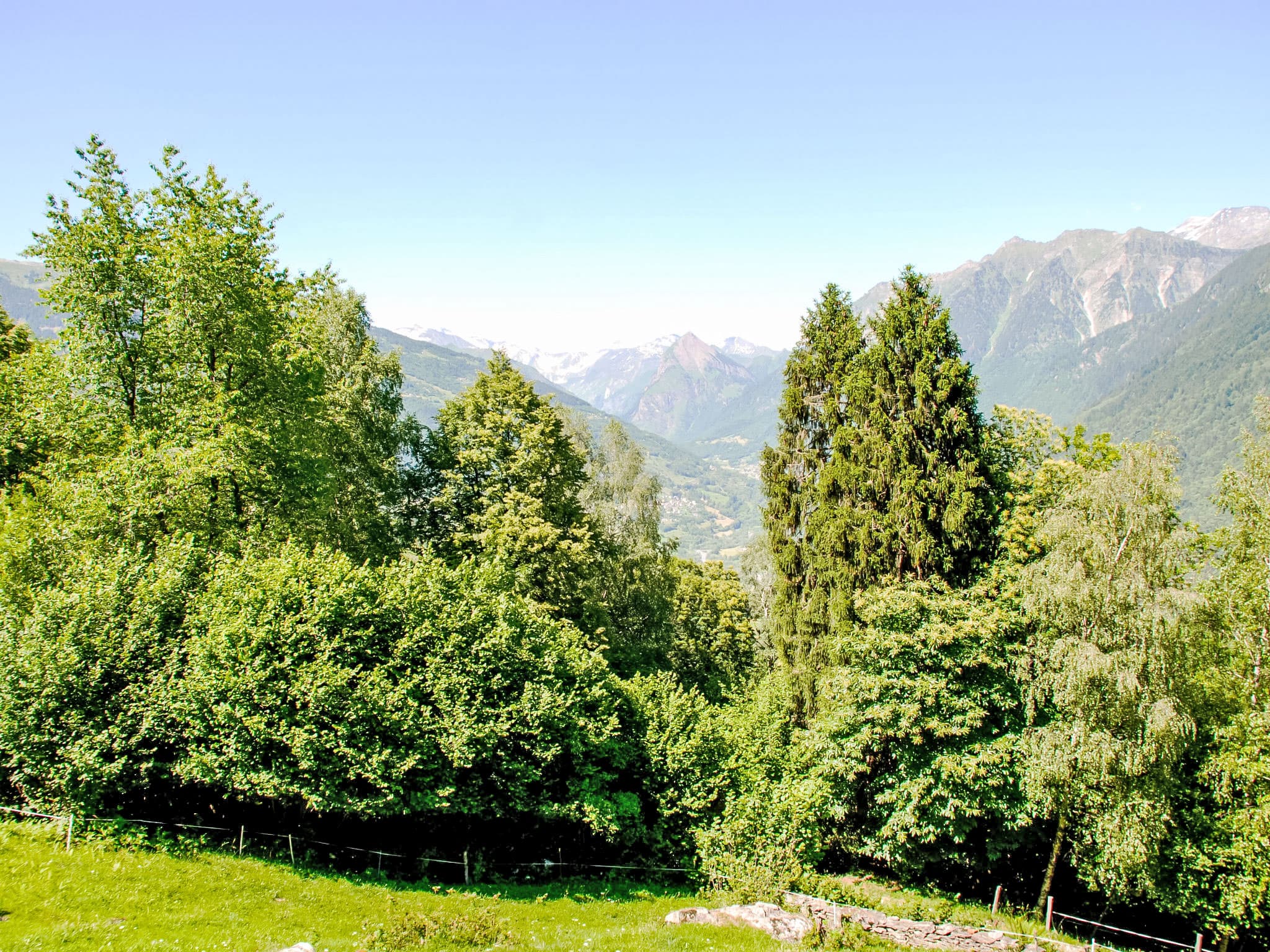 View