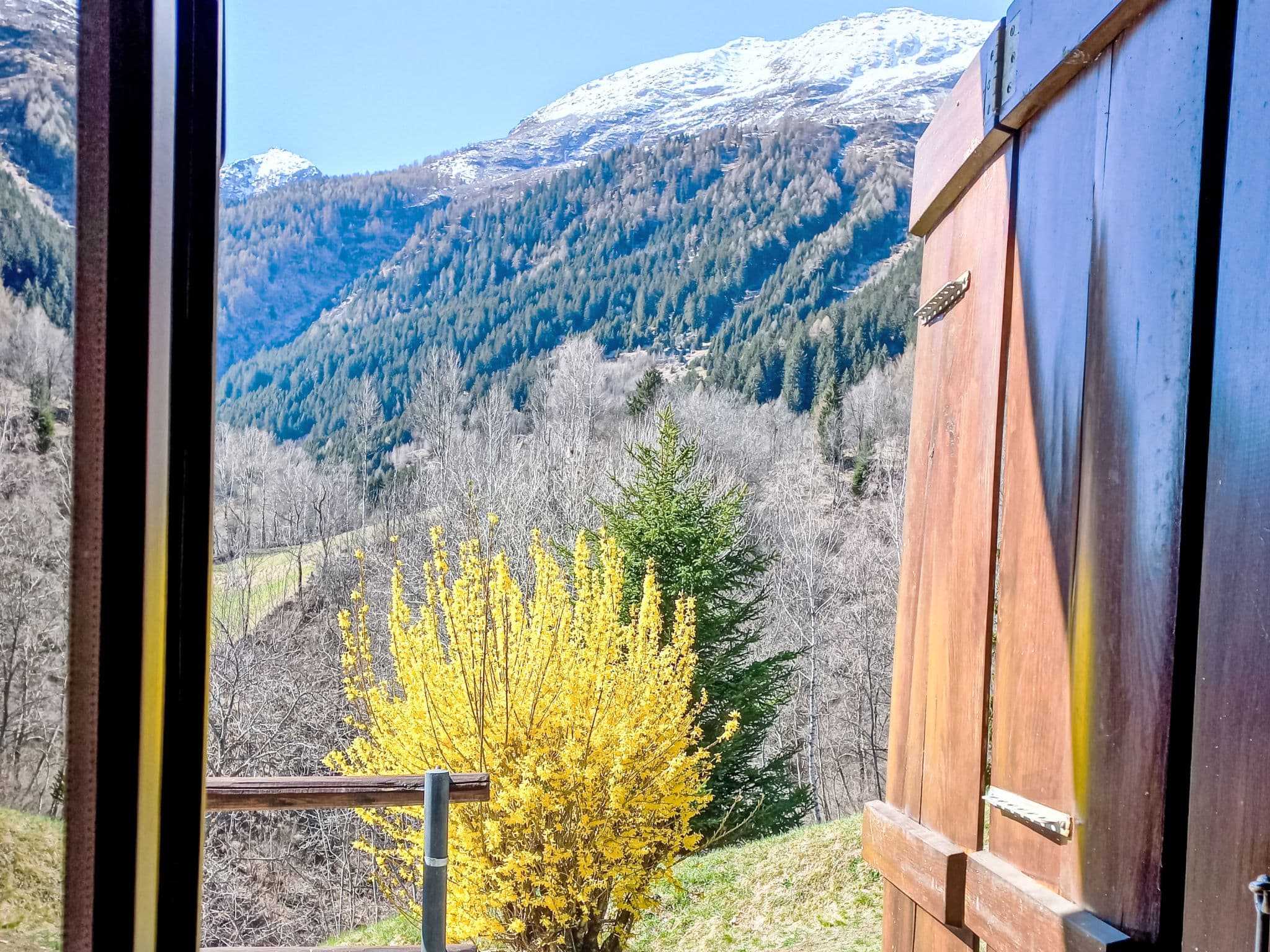 View
