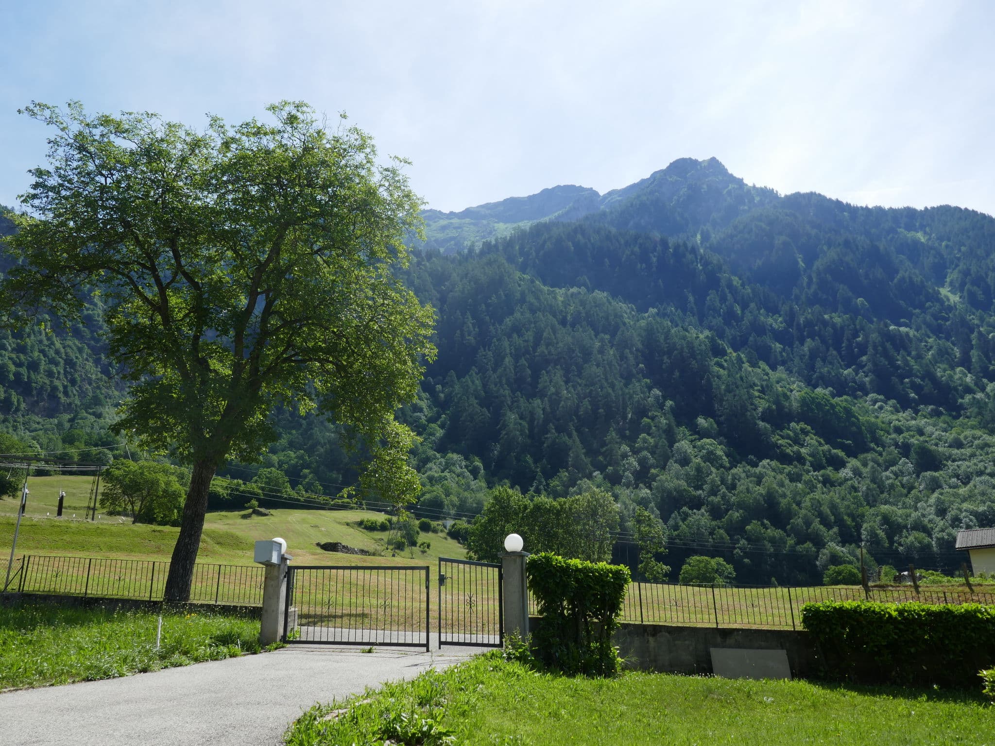 View