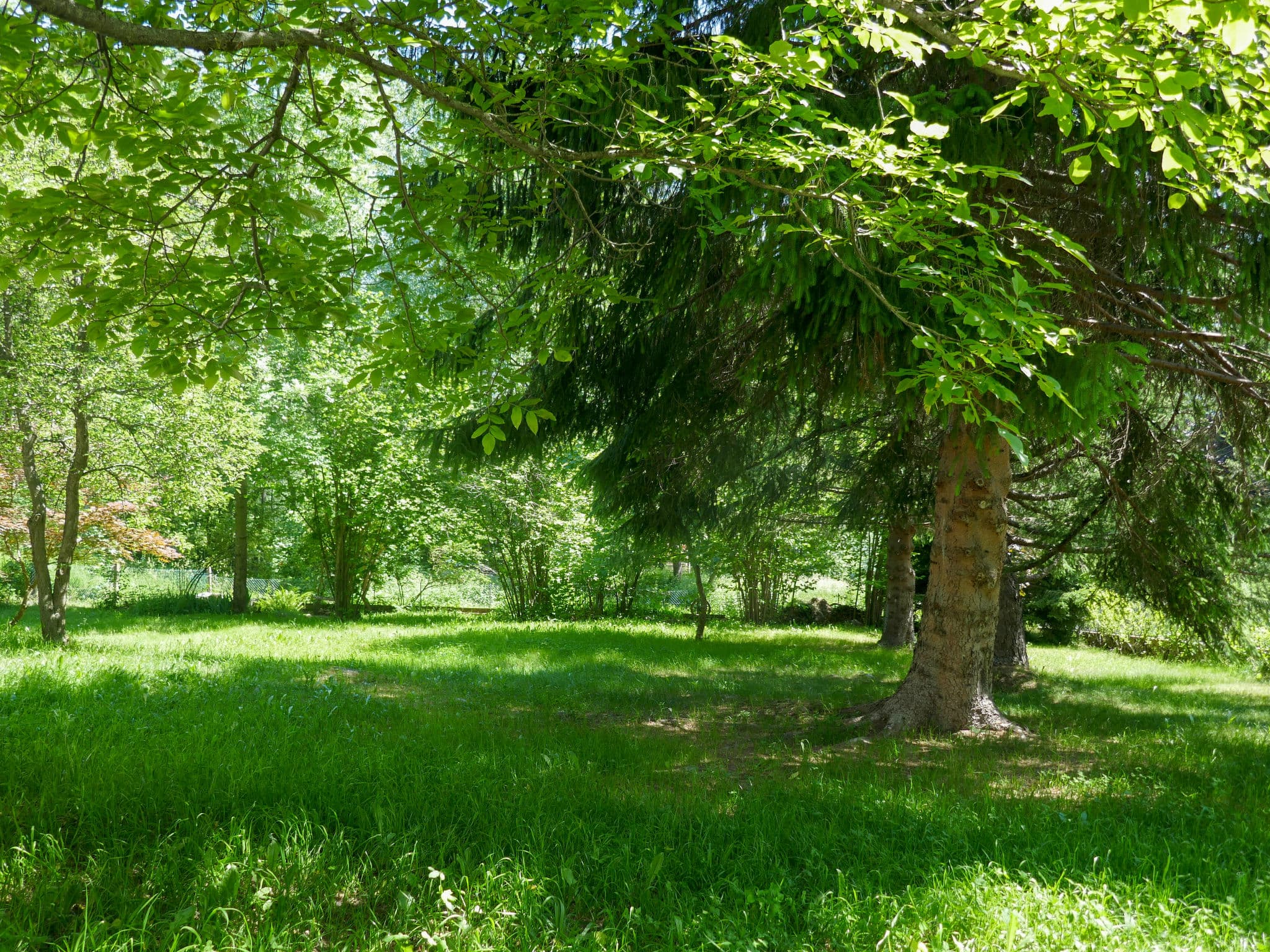 Outdoor