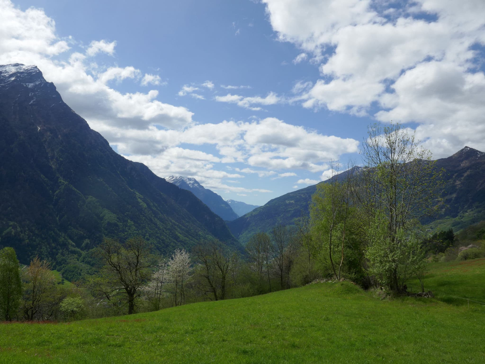 View