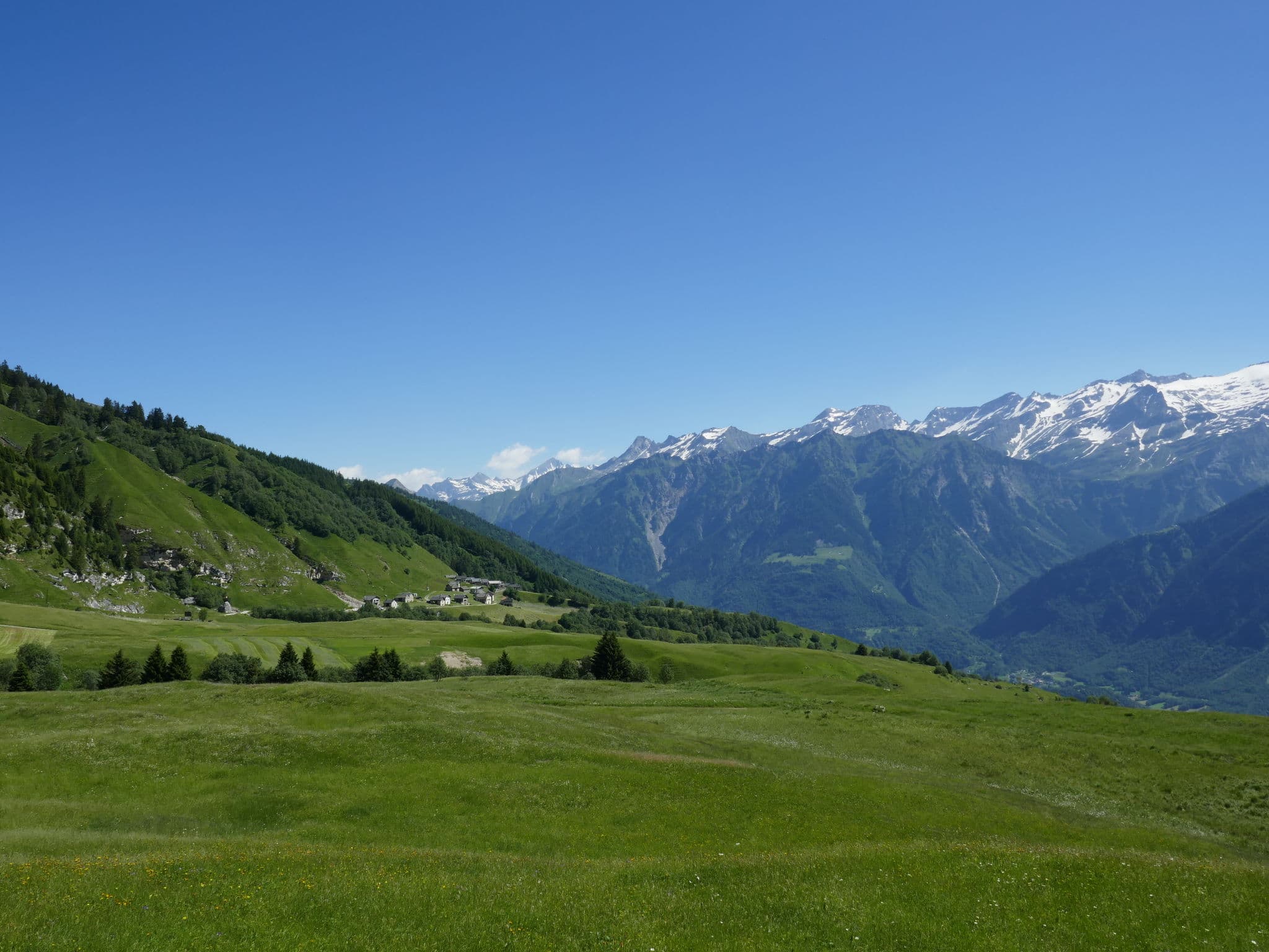 View