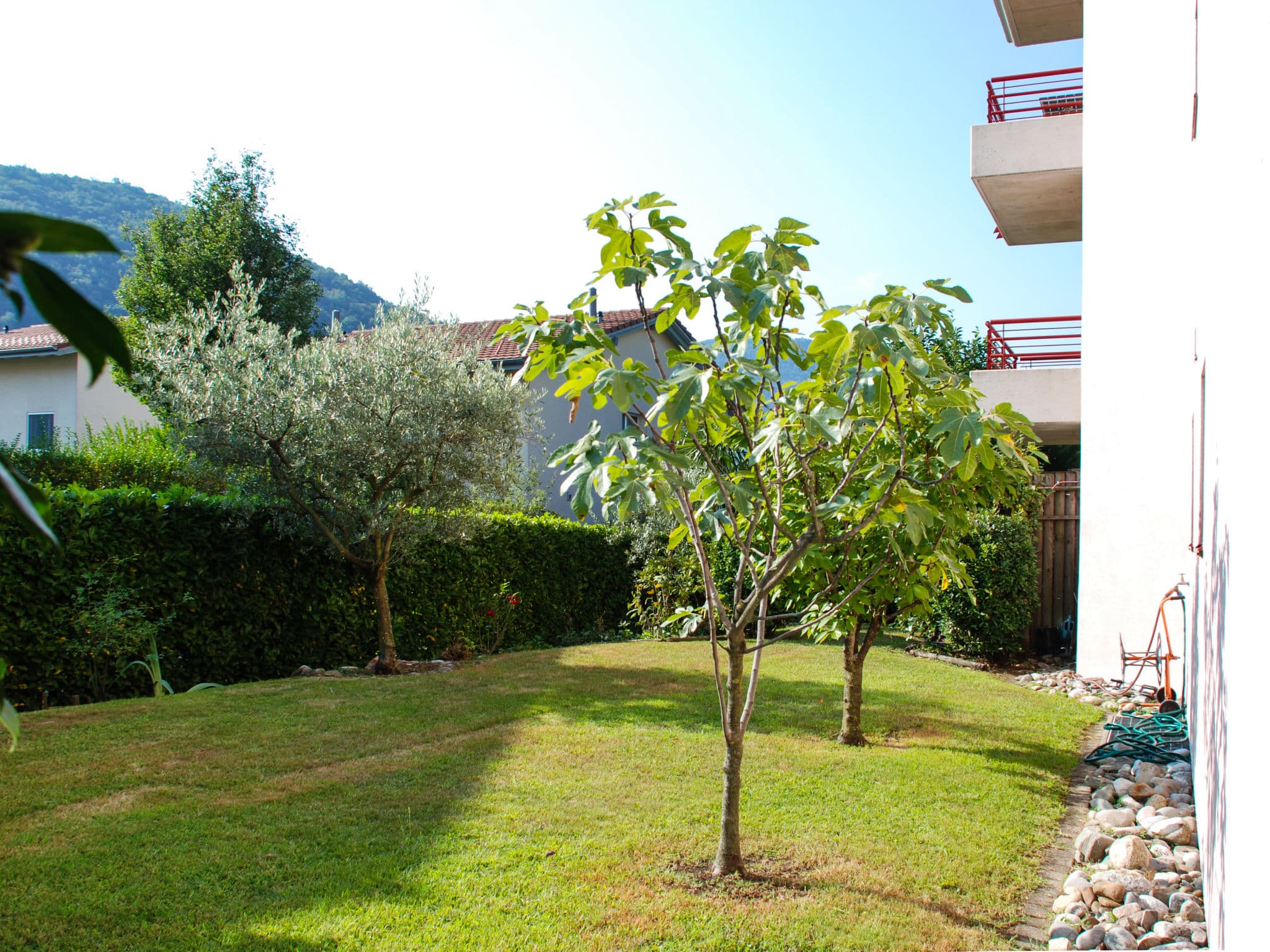 Outdoor