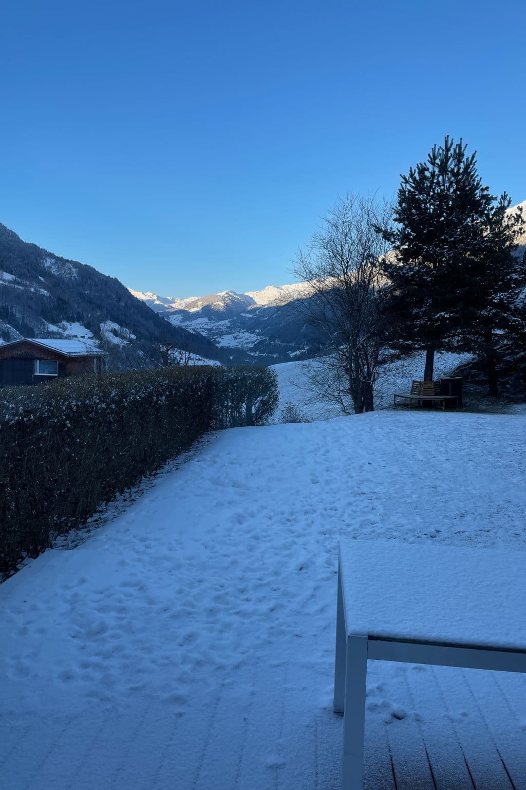 View