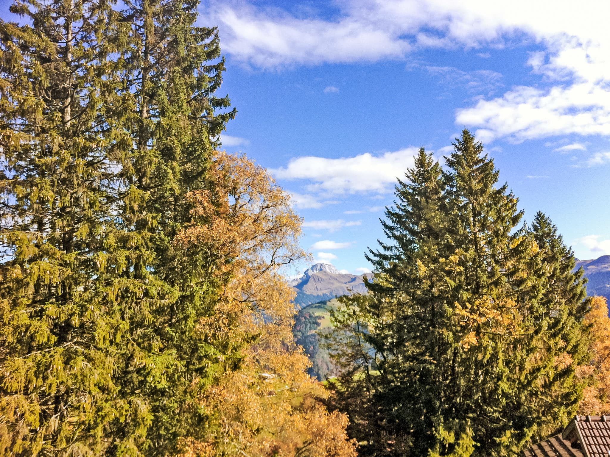 View