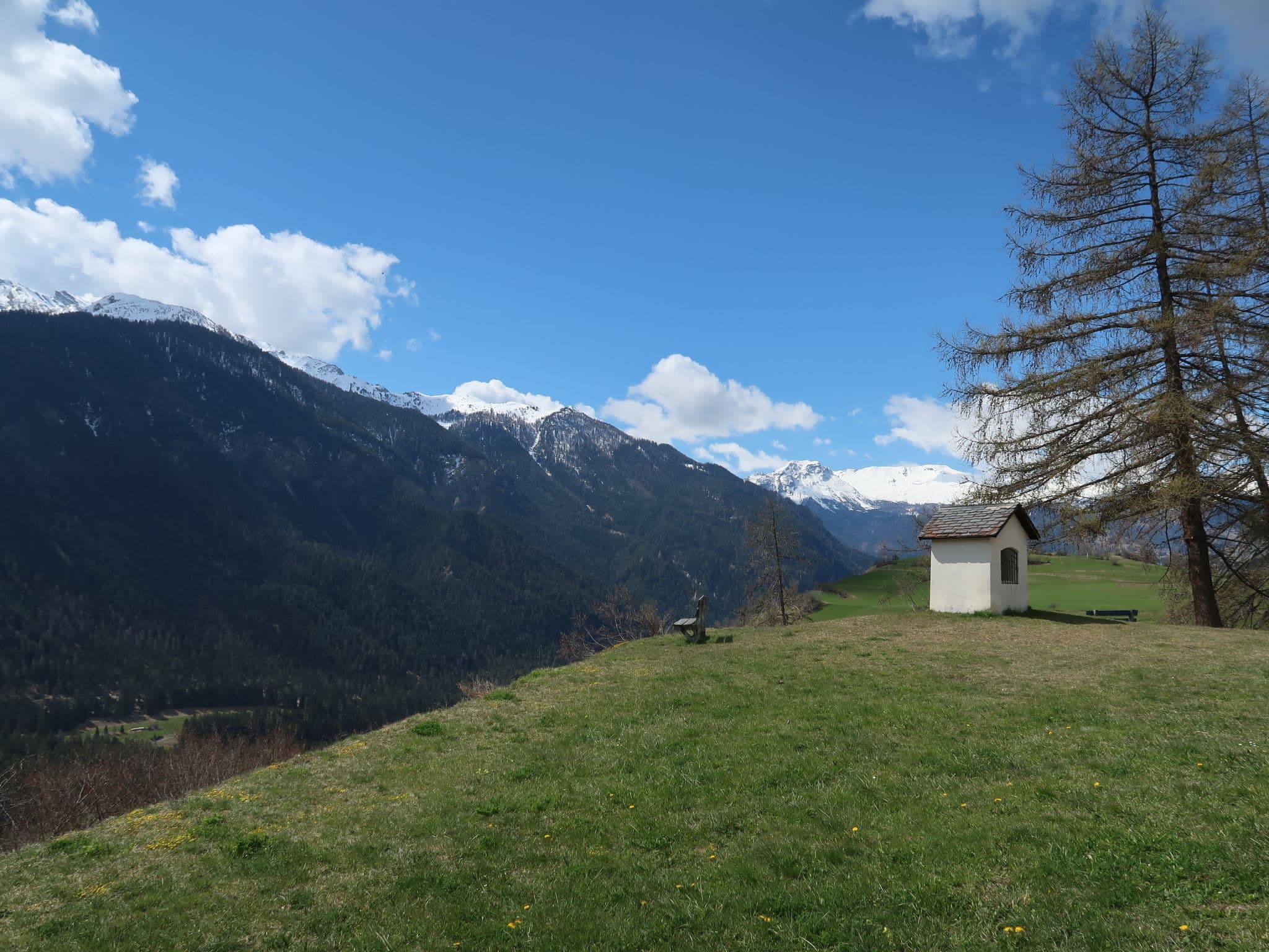 View
