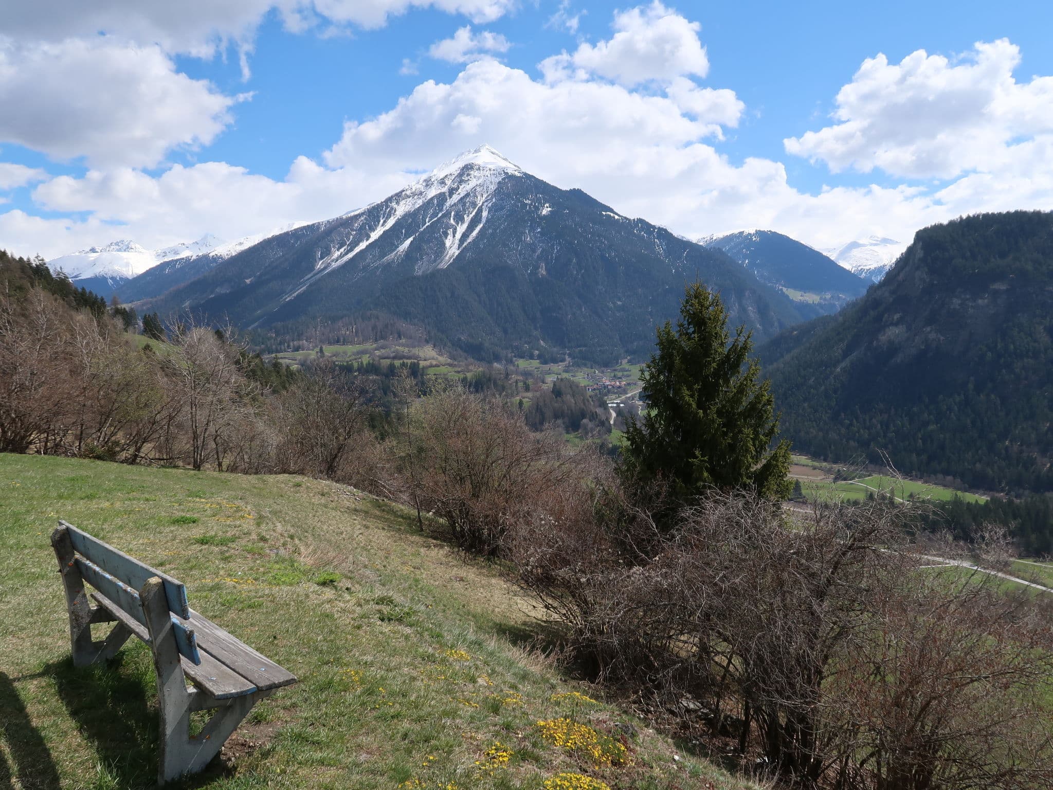 View