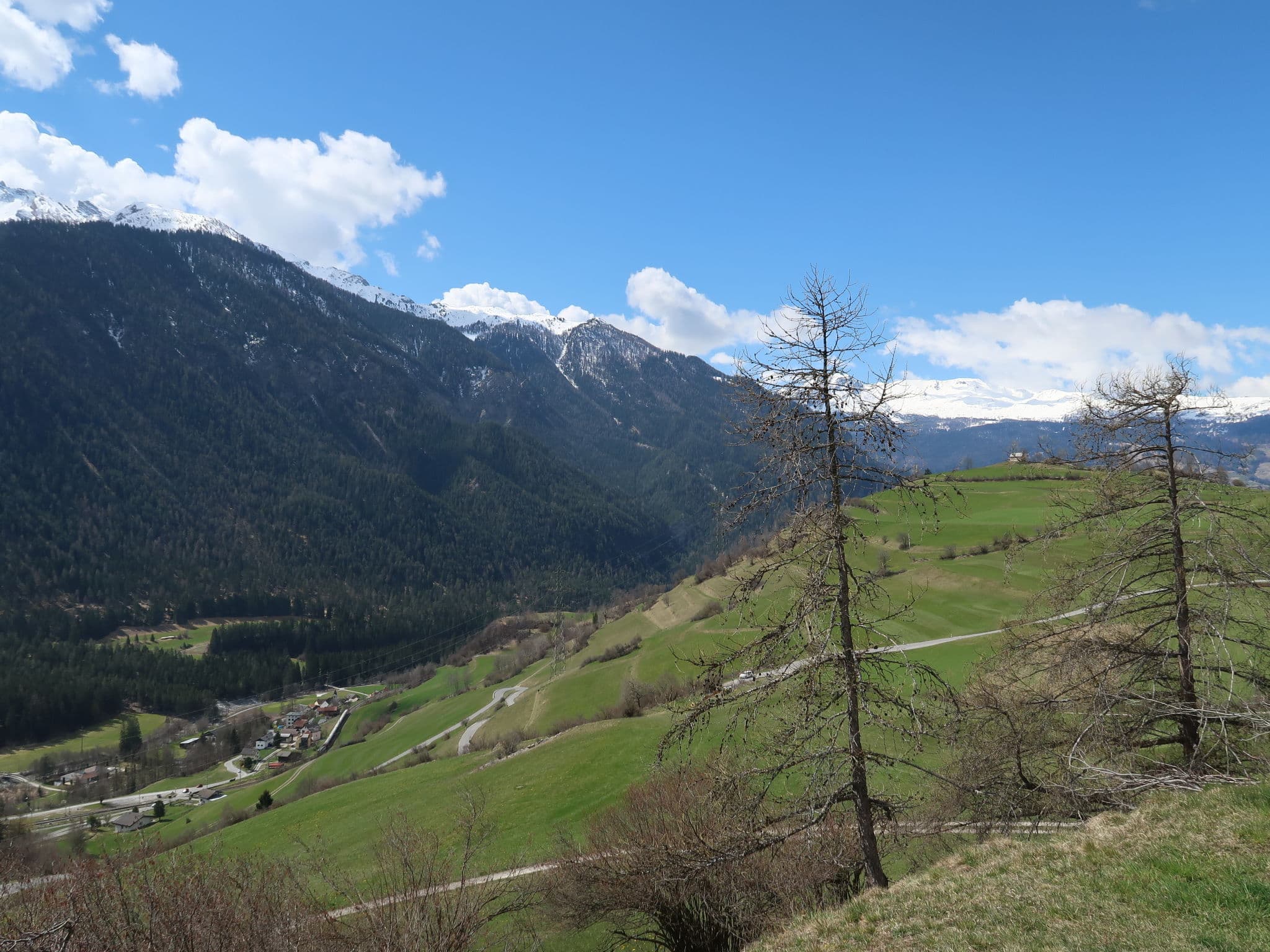 View