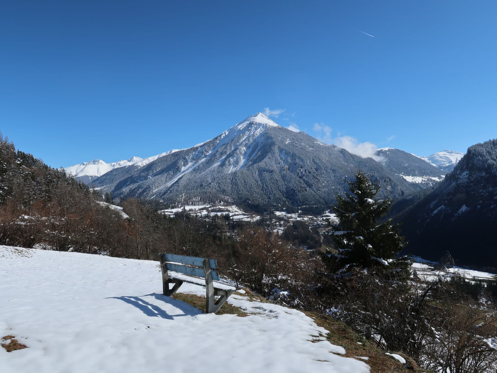 View