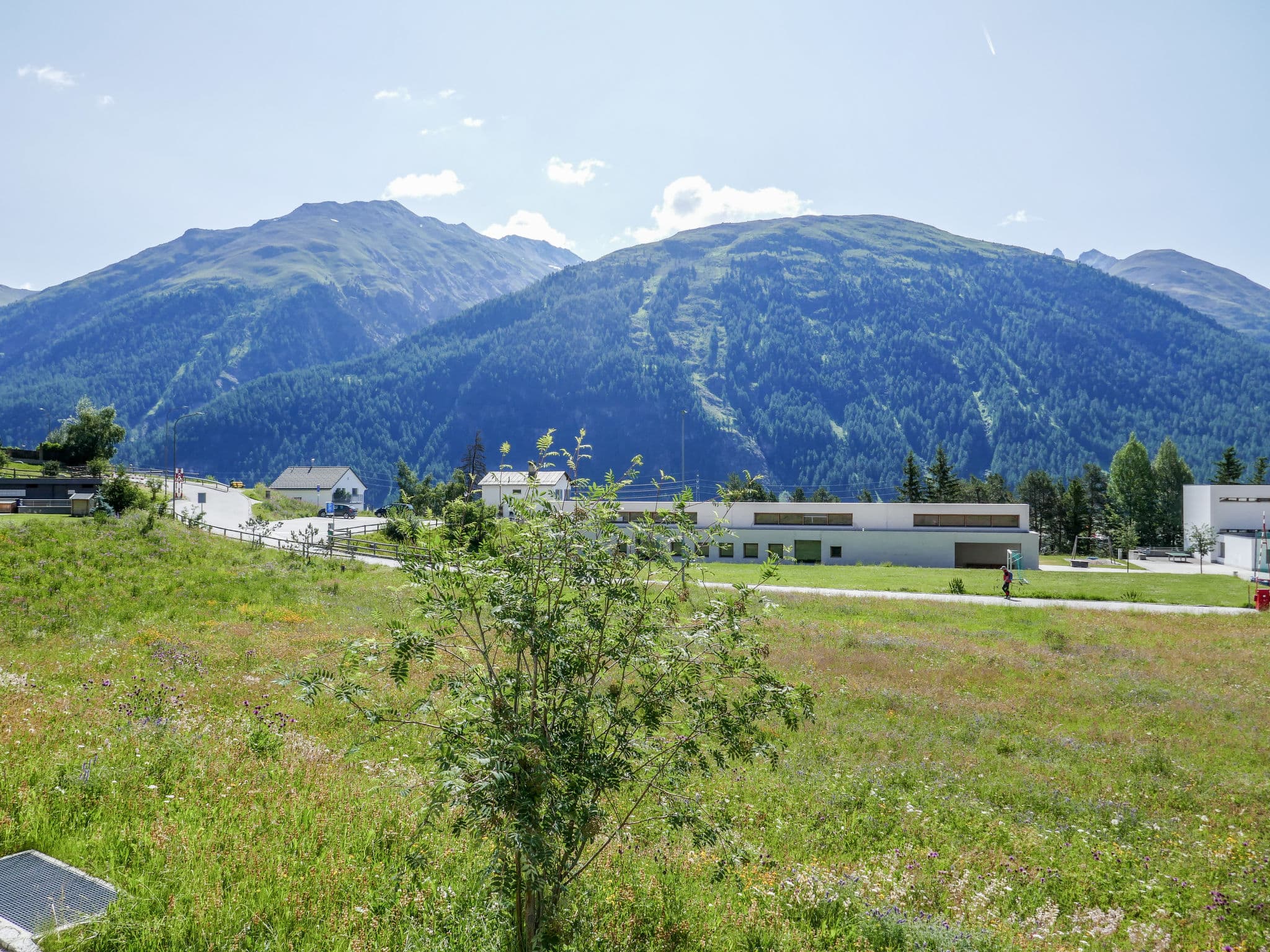 View