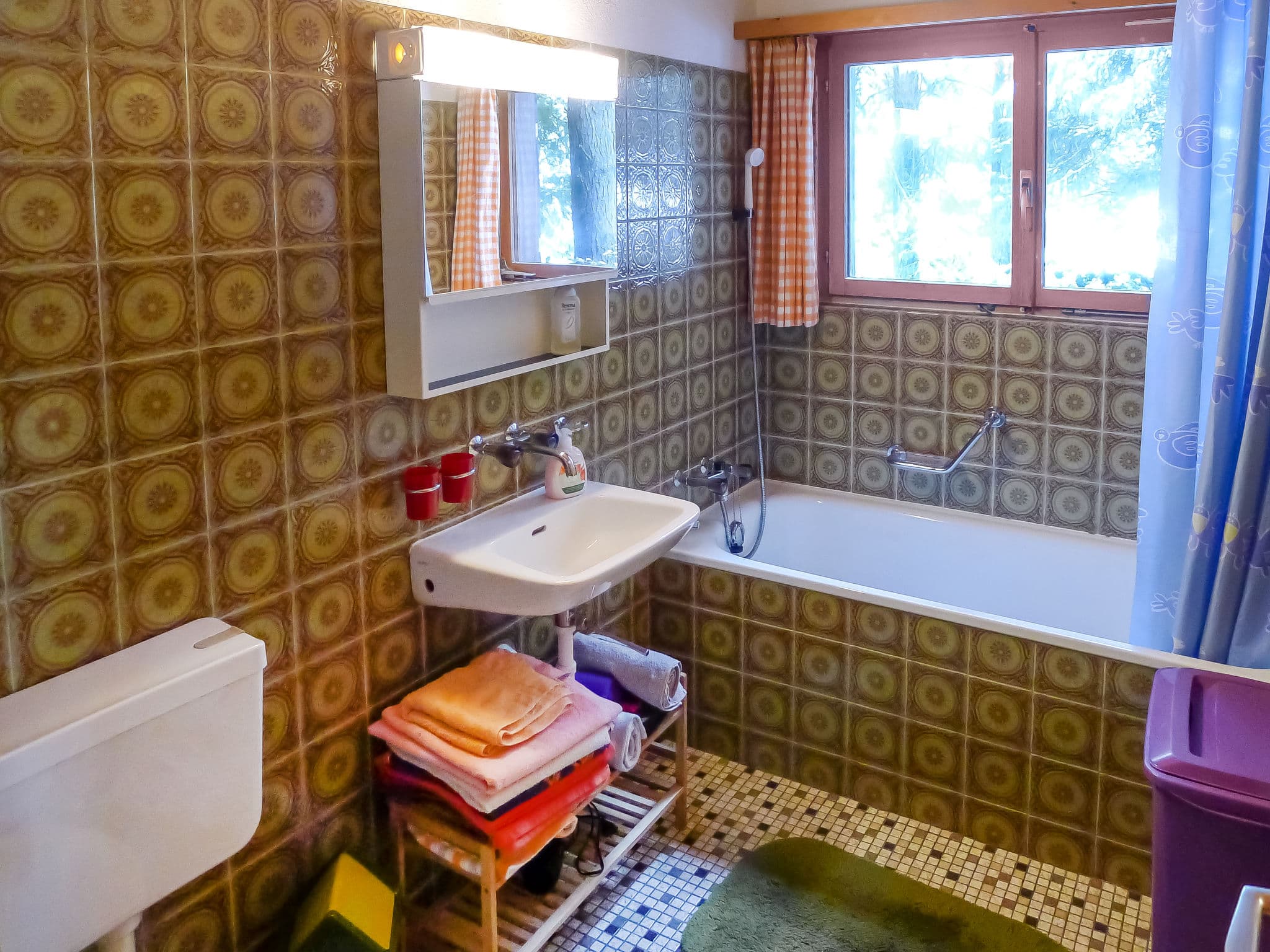 Bathroom / Wellness