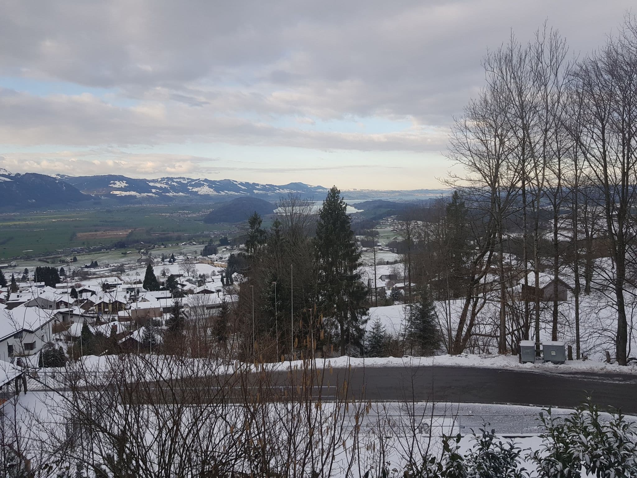 View