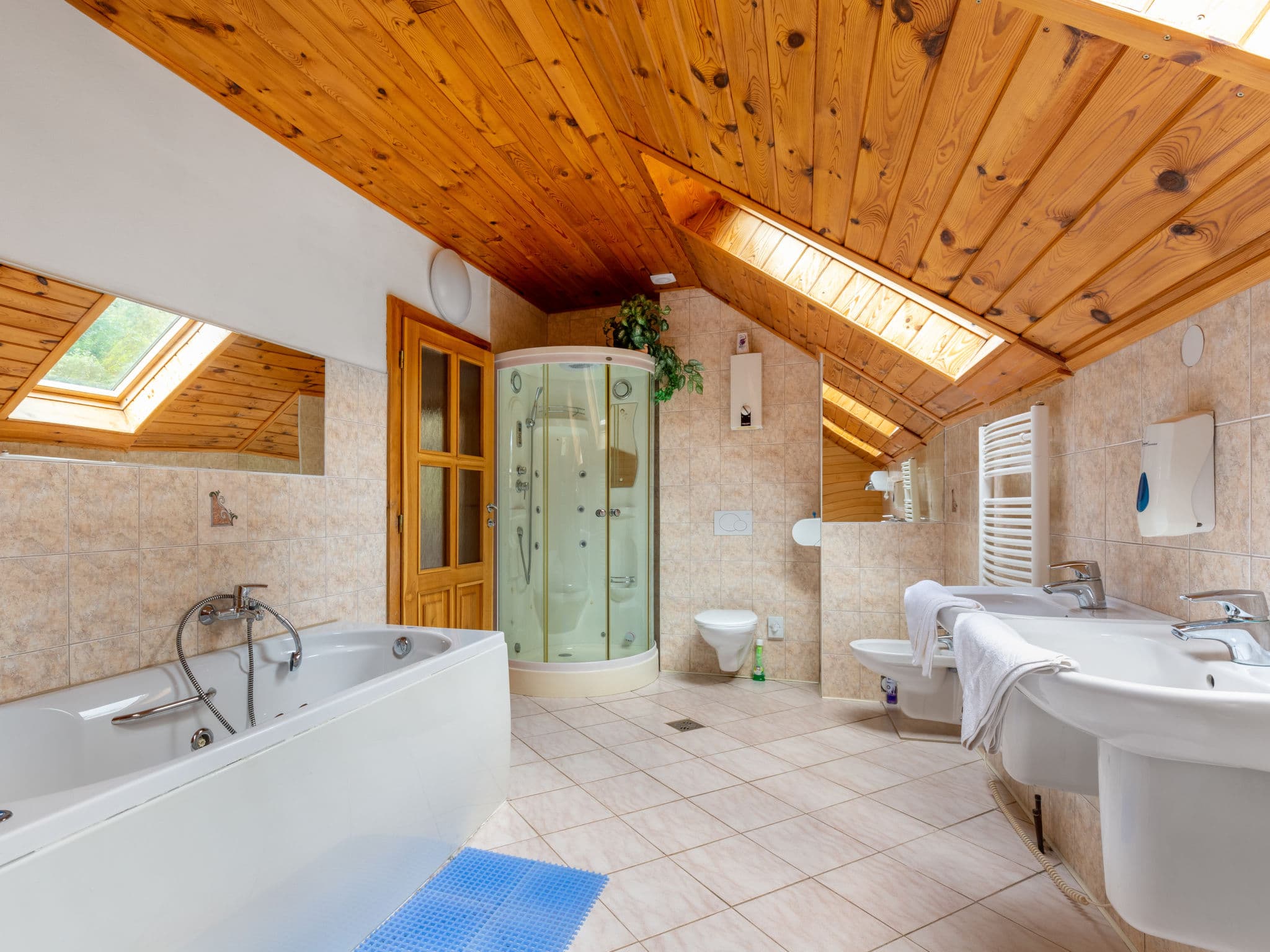 Bathroom / Wellness